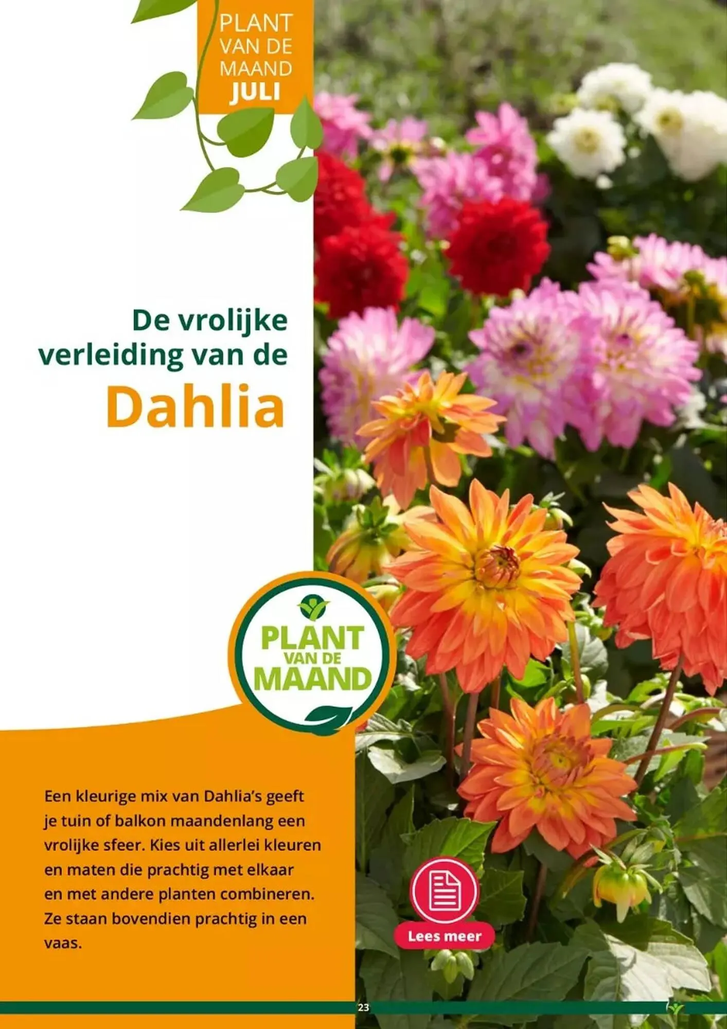 GroenRijk folder van 17 mei tot 31 augustus 2023 - Folder pagina 23