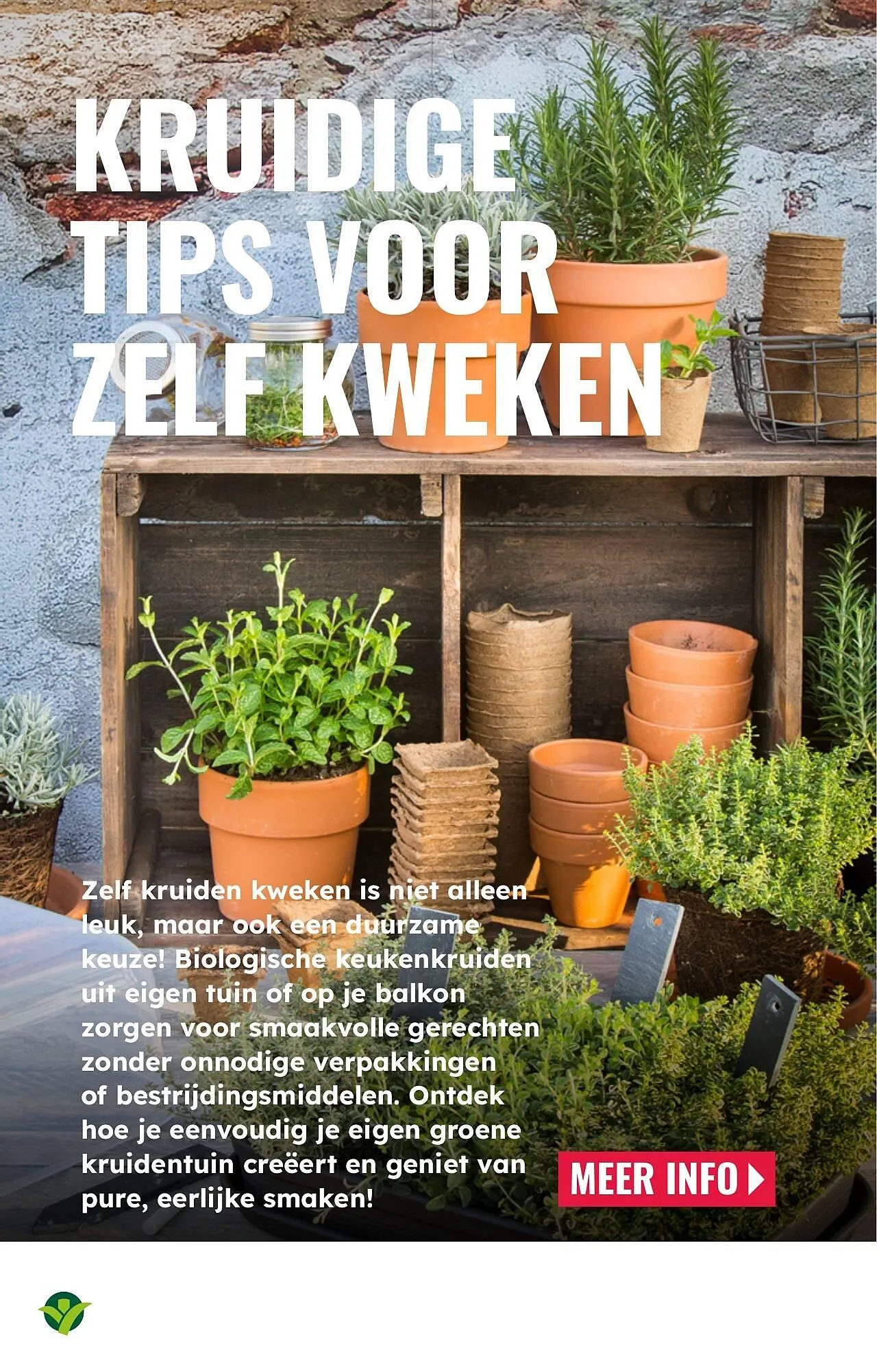 GroenRijk folder van 26 maart tot 1 april 2025 - Folder pagina 6