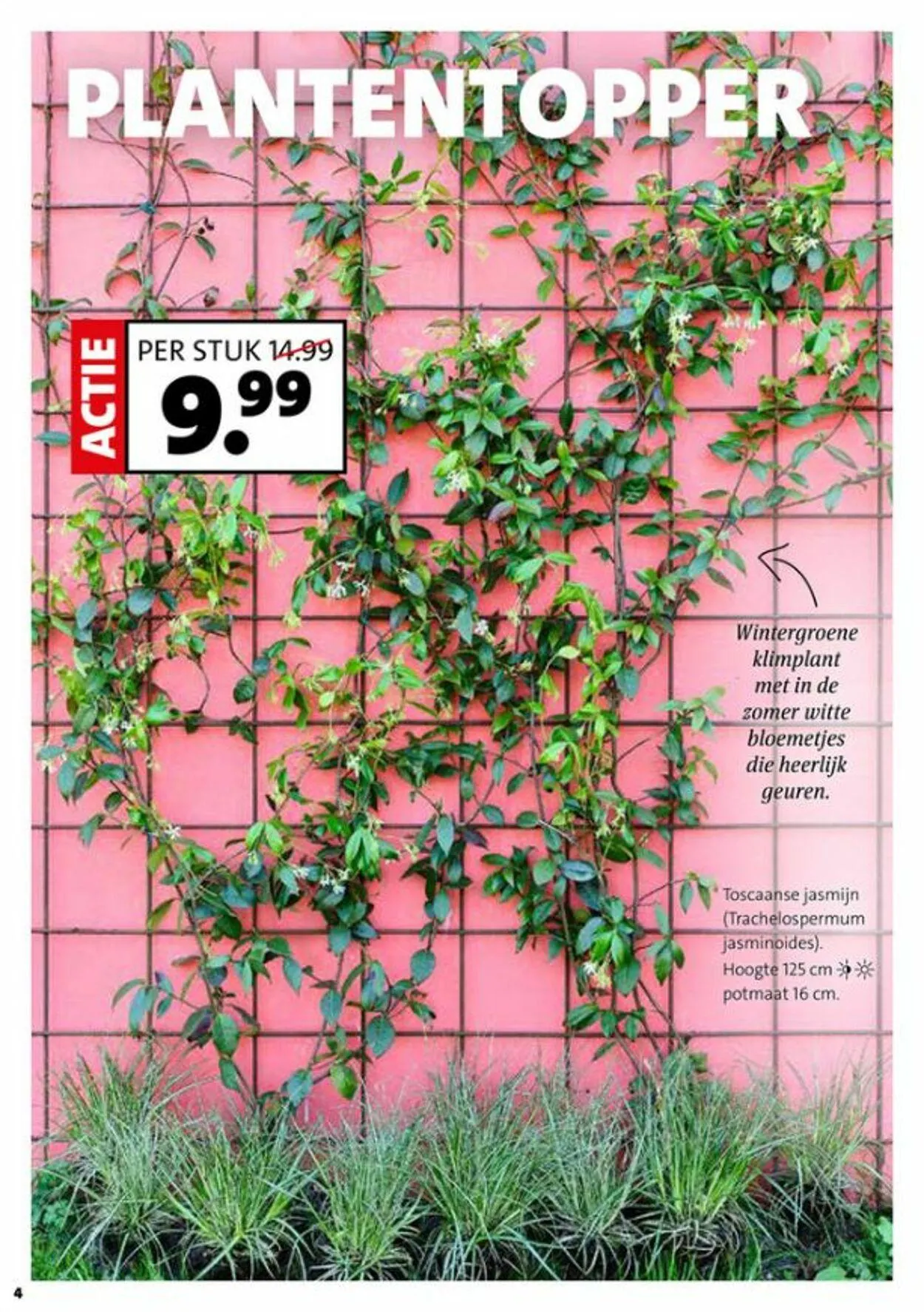 Intratuin Actuele folder van 7 december tot 21 december 2025 - Folder pagina 4