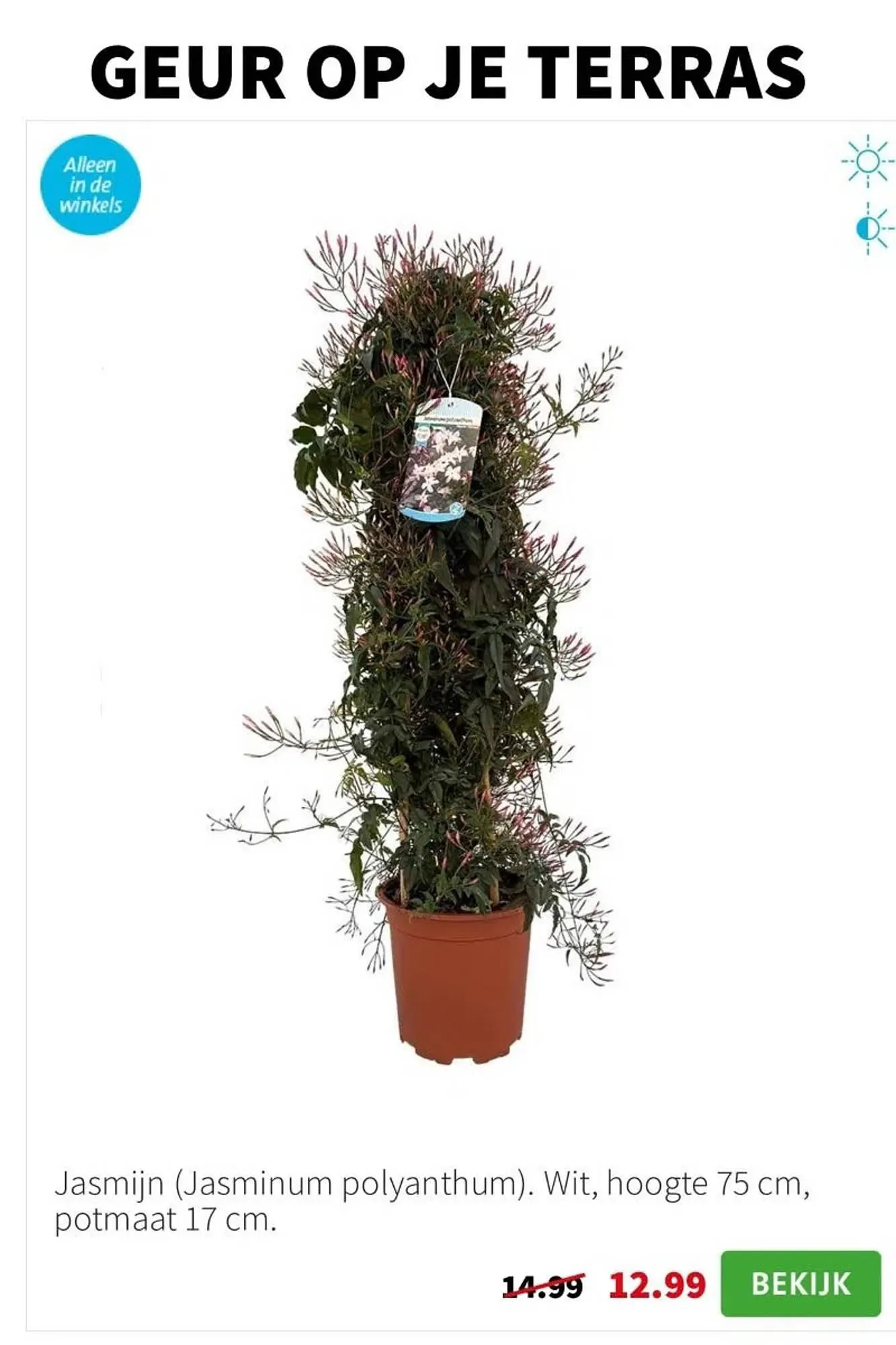 Intratuin folder van 10 maart tot 16 maart 2025 - Folder pagina 14