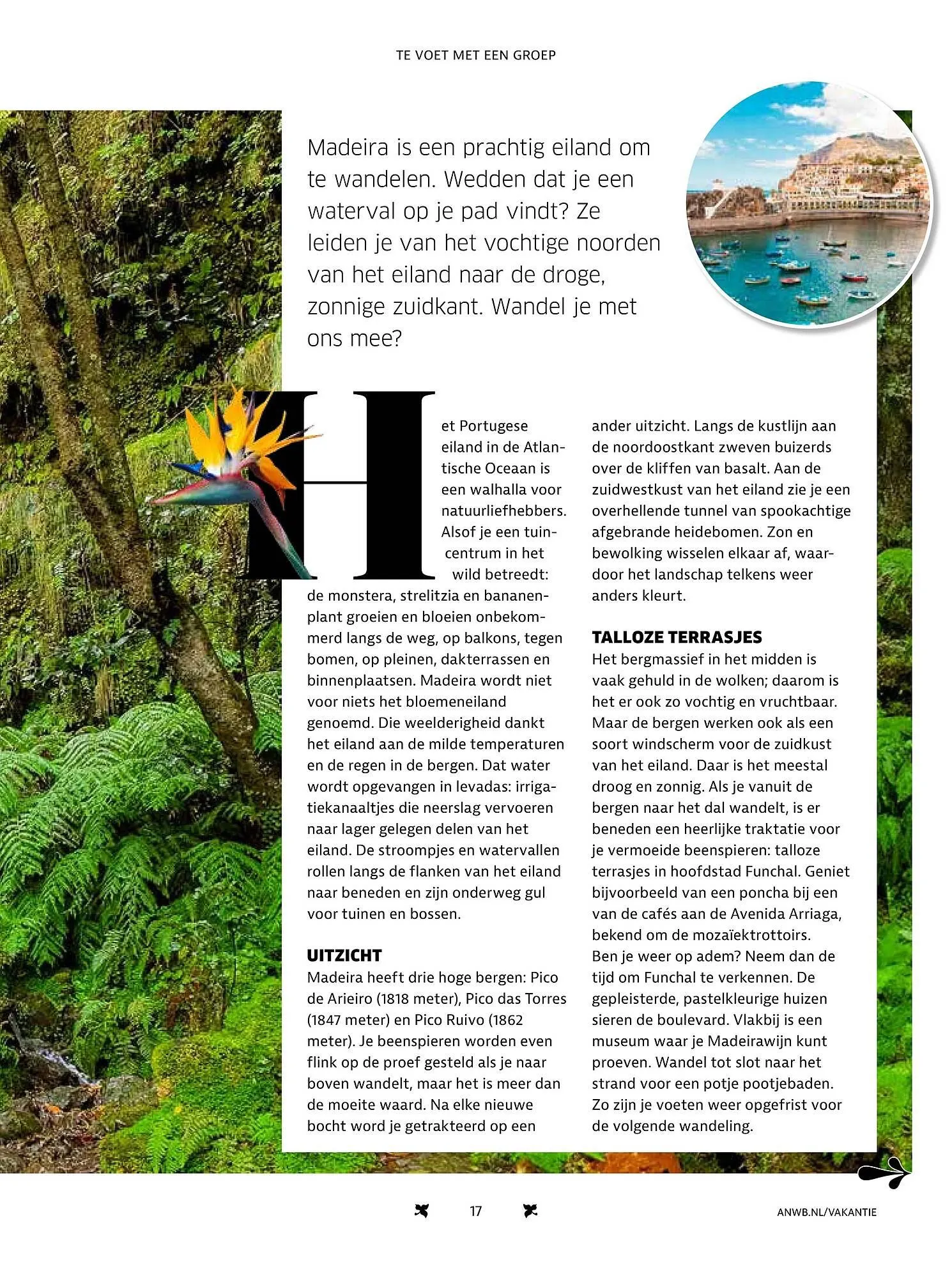 ANWB folder van 15 november tot 31 december 2025 - Folder pagina 17