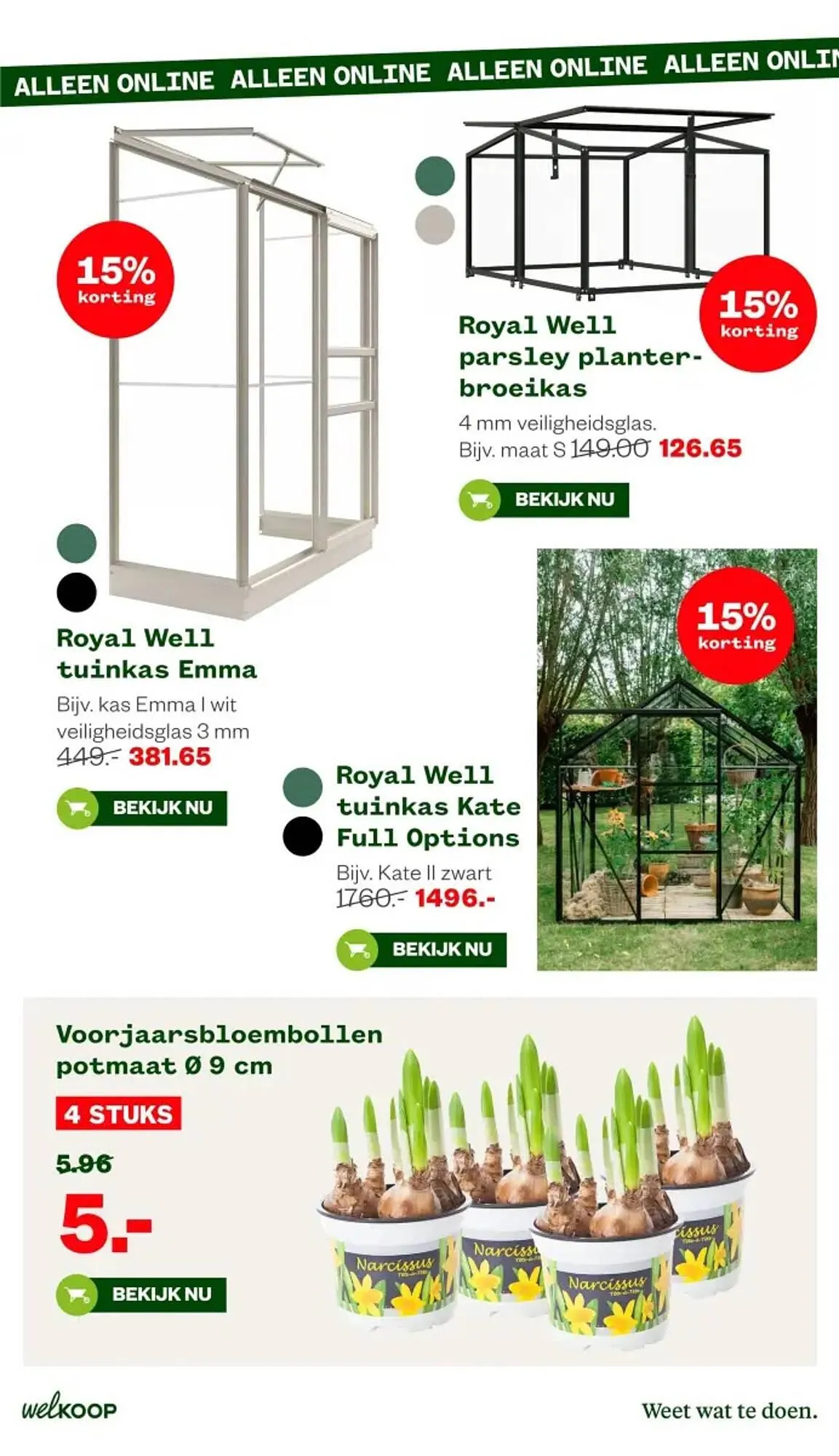 Welkoop folder van 19 januari tot 1 februari 2026 - Folder pagina 12
