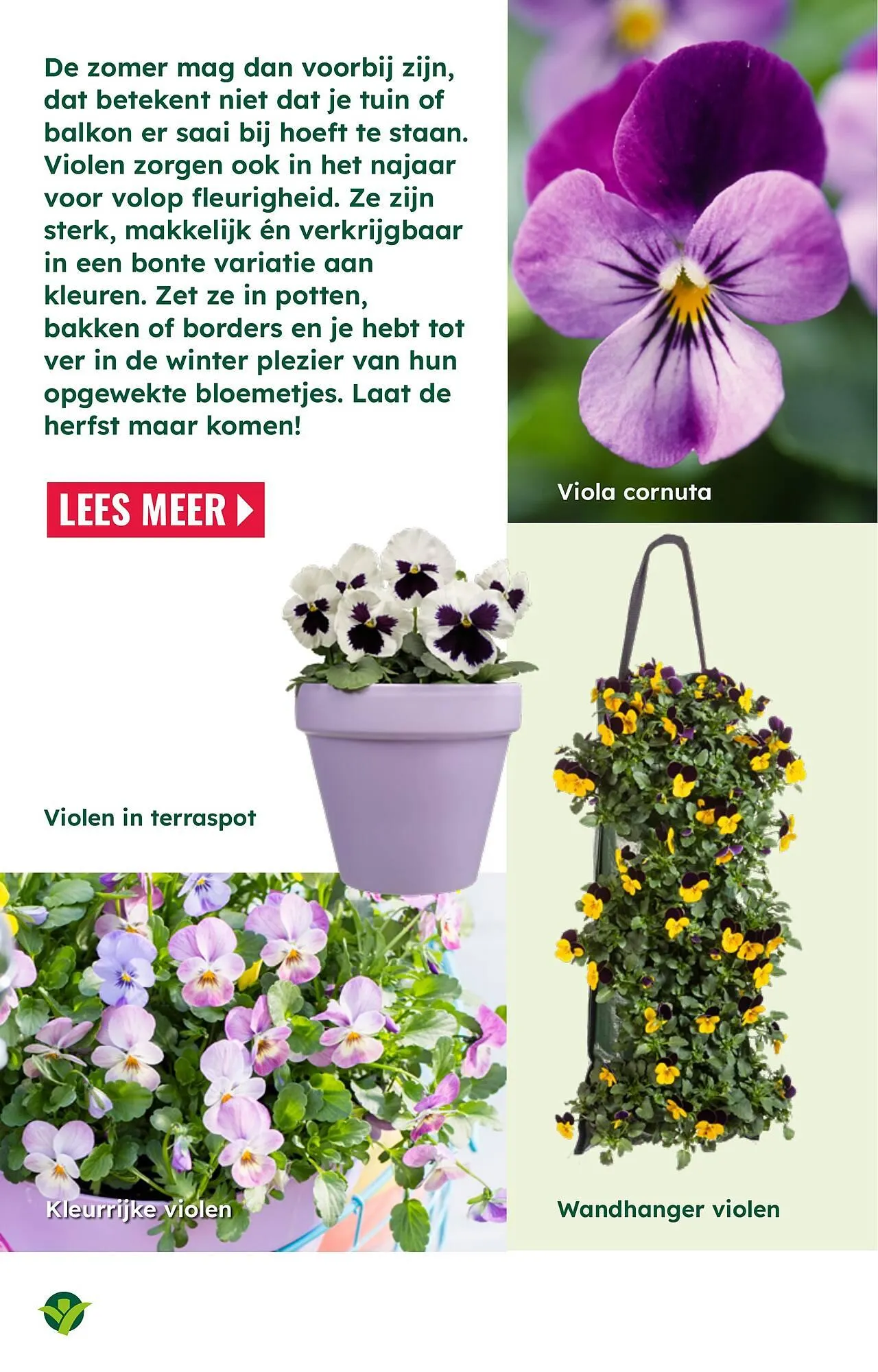 GroenRijk folder van 26 augustus tot 21 december 2025 - Folder pagina 13