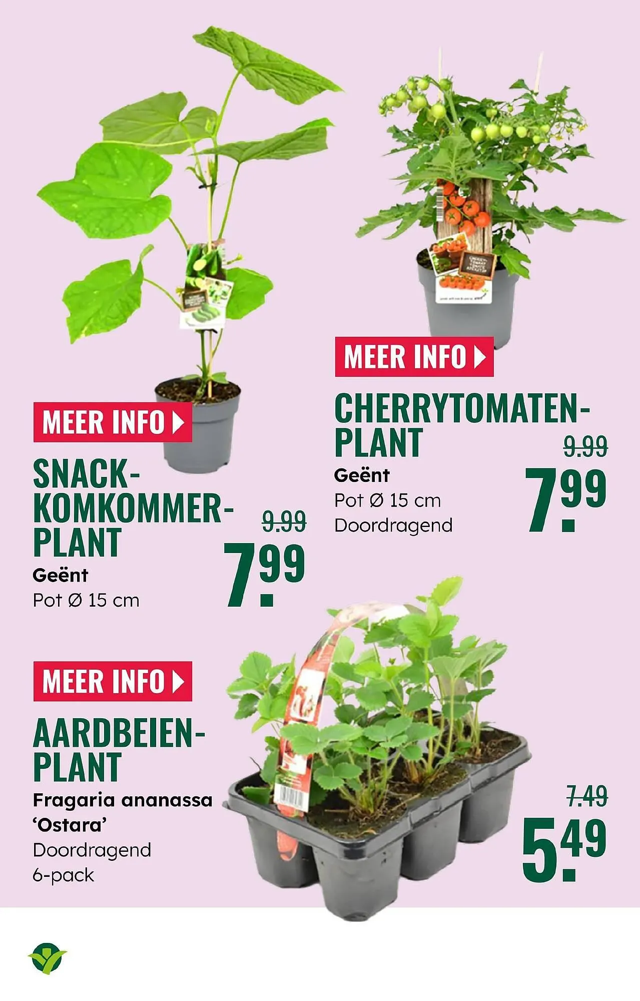 GroenRijk folder van 28 mei tot 3 juni 2025 - Folder pagina 15