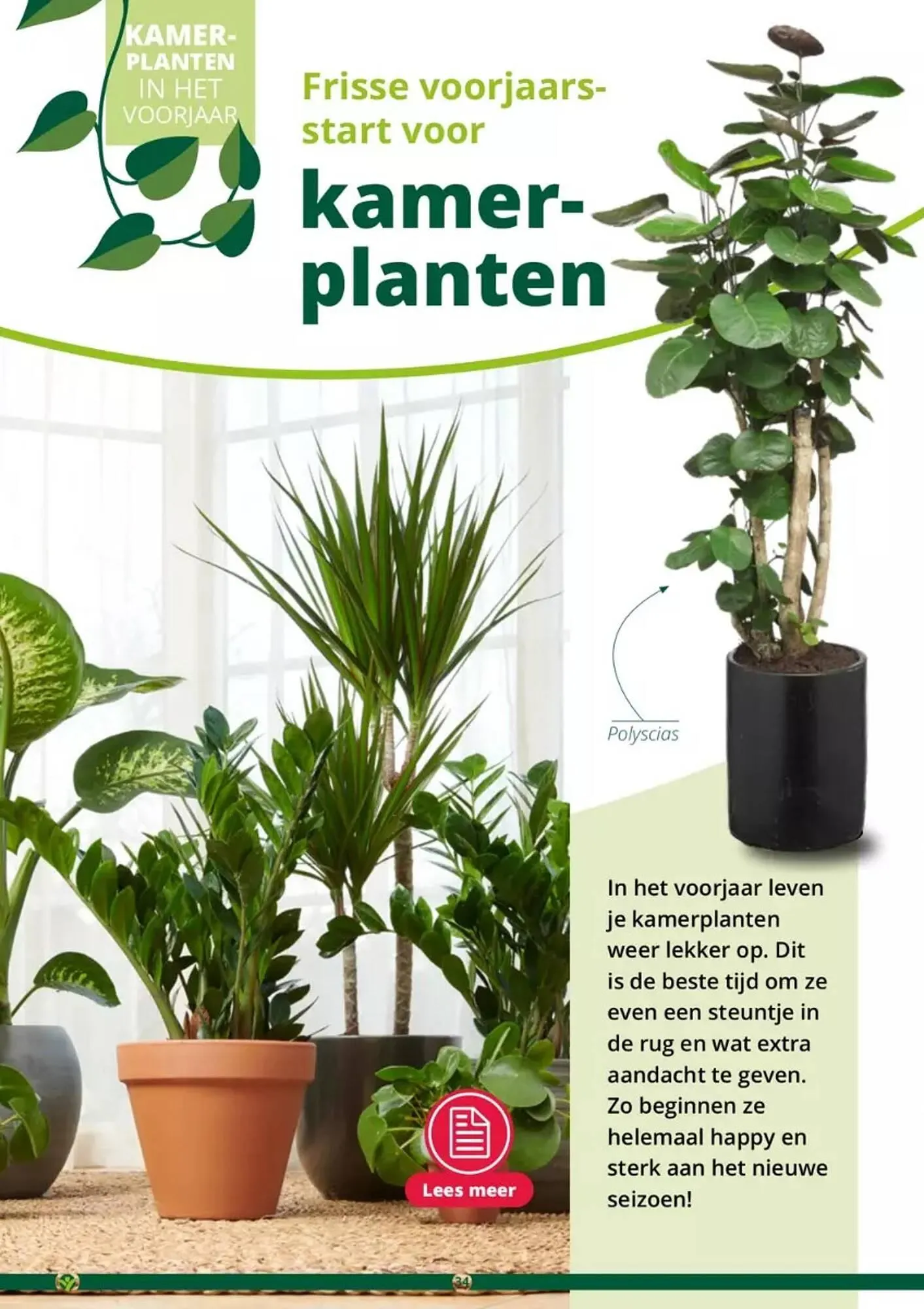 GroenRijk folder van 17 mei tot 31 augustus 2023 - Folder pagina 34