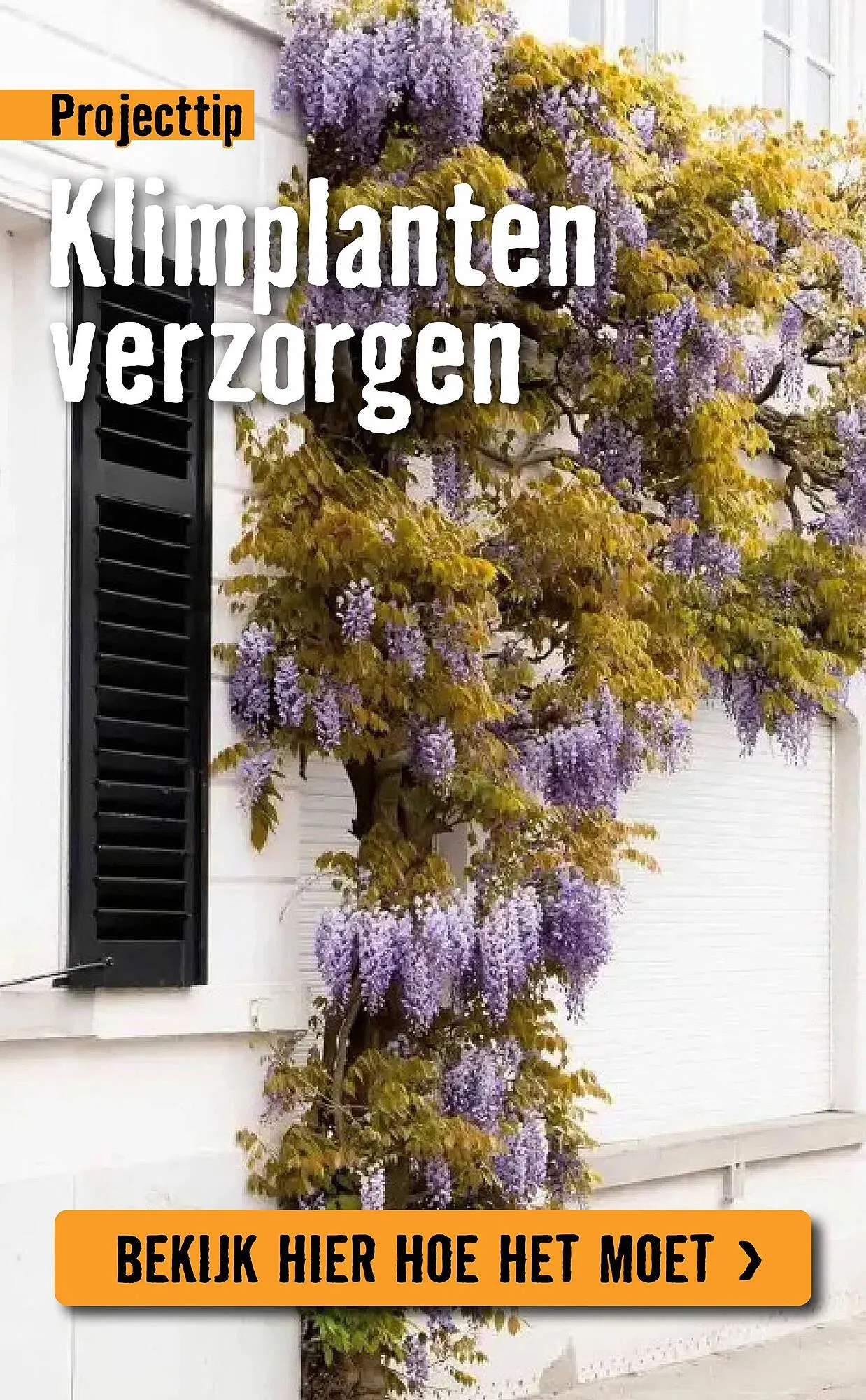 Hornbach folder van 14 april tot 4 mei 2025 - Folder pagina 10