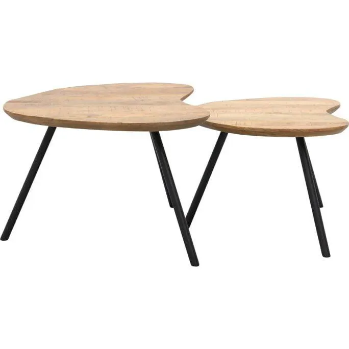 Salontafel Alex set van 2