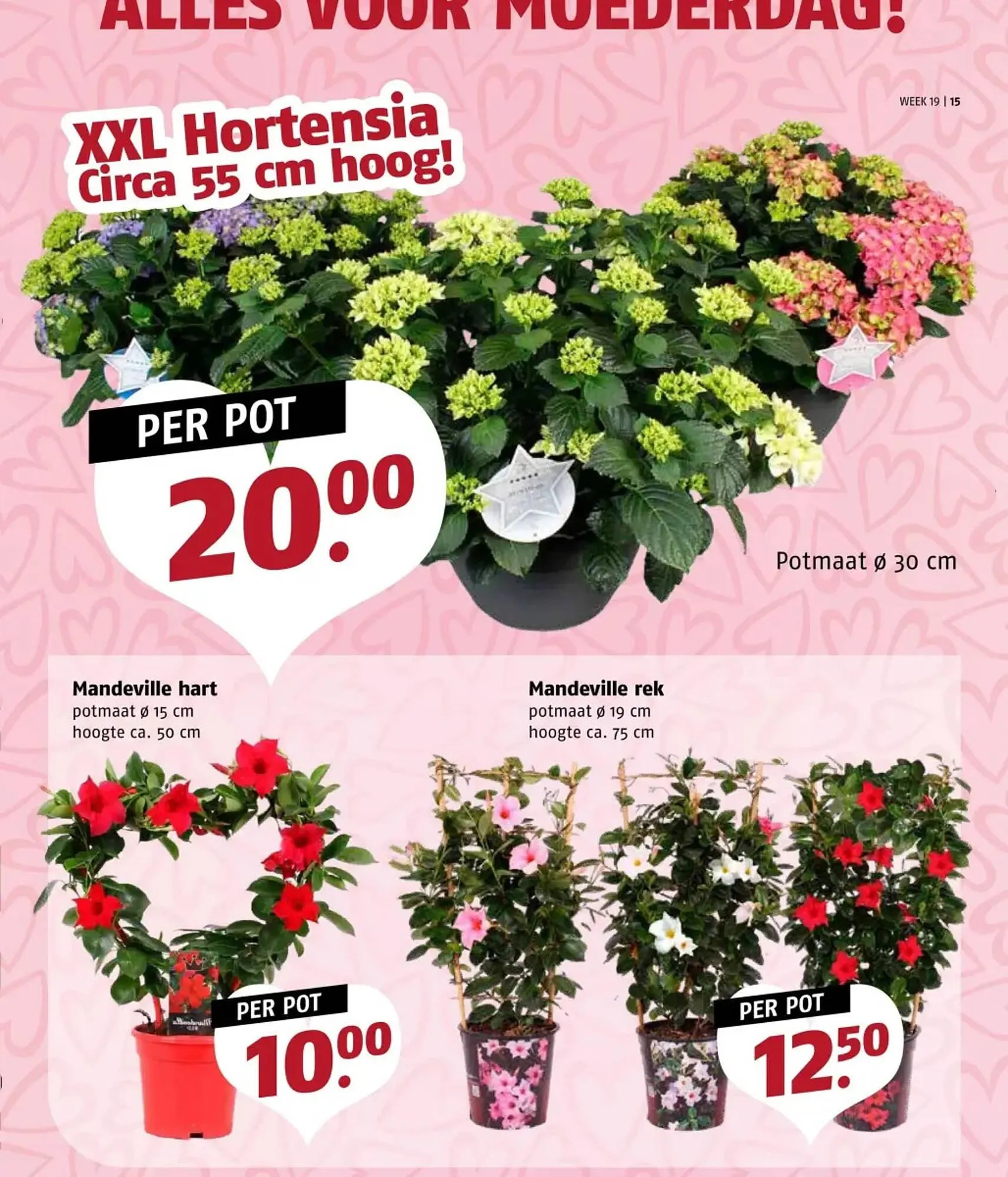 Poiesz folder van 5 mei tot 11 mei 2025 - Folder pagina 15