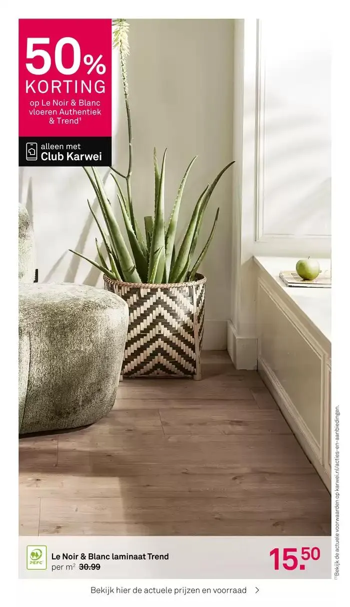 Karwei folder van 27 januari tot 10 februari 2025 - Folder pagina 2