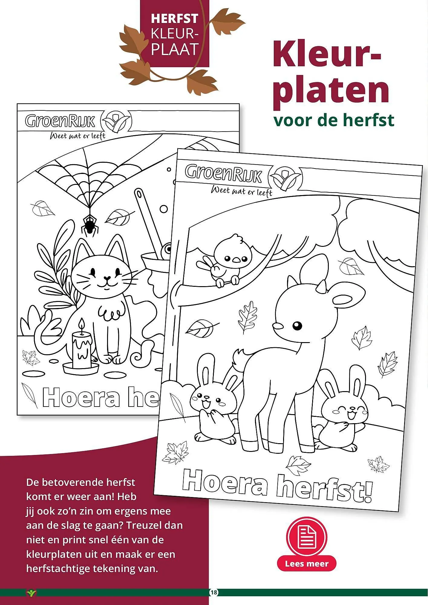 GroenRijk folder van 17 september tot 31 december 2023 - Folder pagina 18