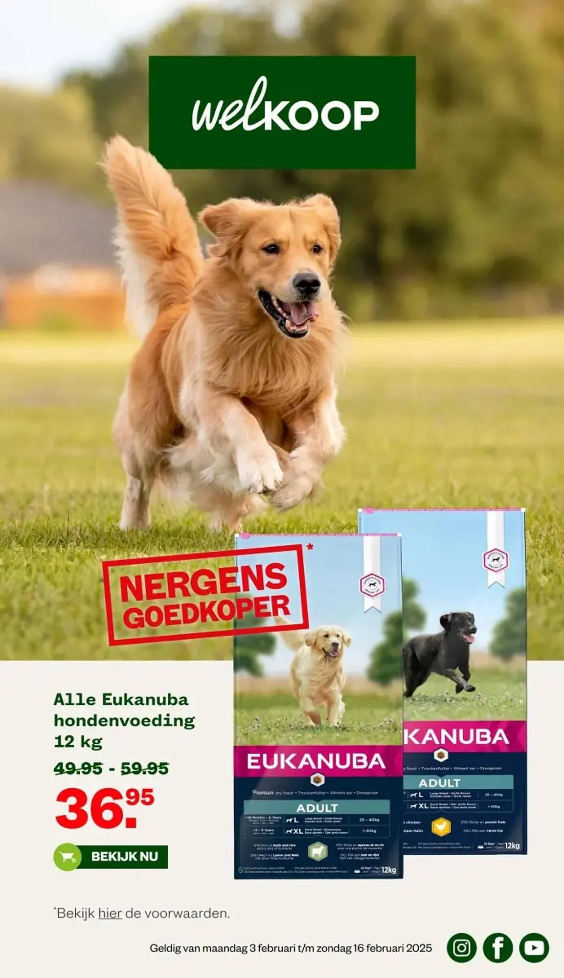 Welkoop folder - 1