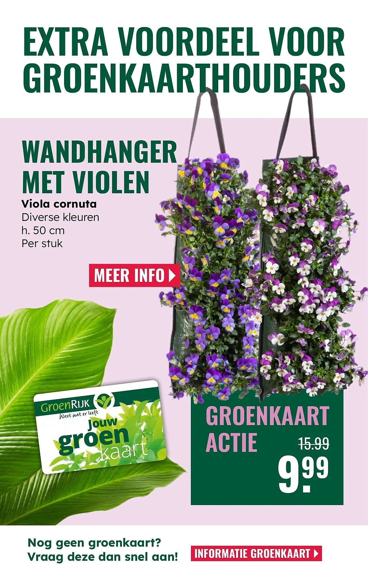 GroenRijk folder van 5 maart tot 18 maart 2025 - Folder pagina 16