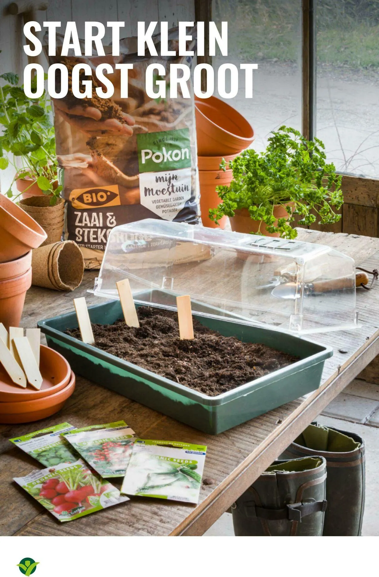 GroenRijk Actuele folder van 8 juli tot 22 juli 2025 - Folder pagina 20