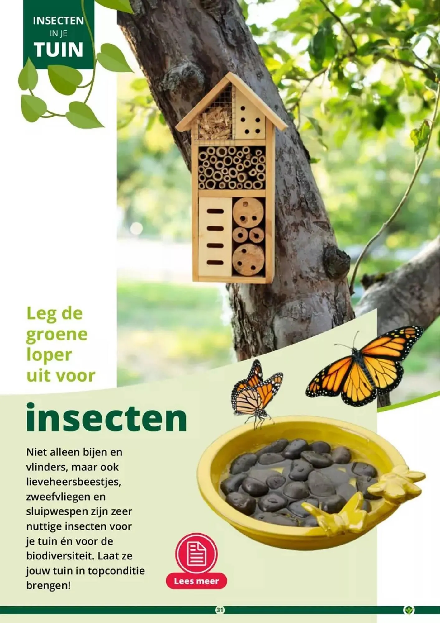 GroenRijk folder van 17 mei tot 31 augustus 2023 - Folder pagina 31