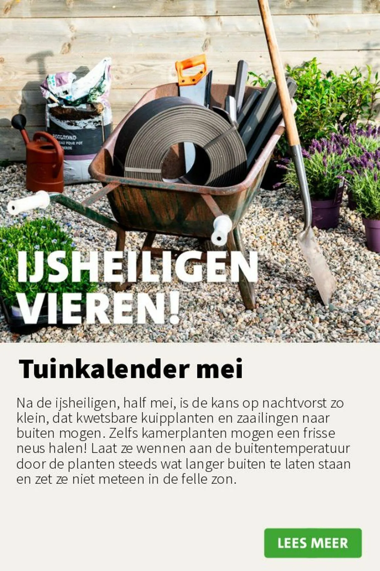 Intratuin van 12 mei tot 18 mei 2025 - Folder pagina 5