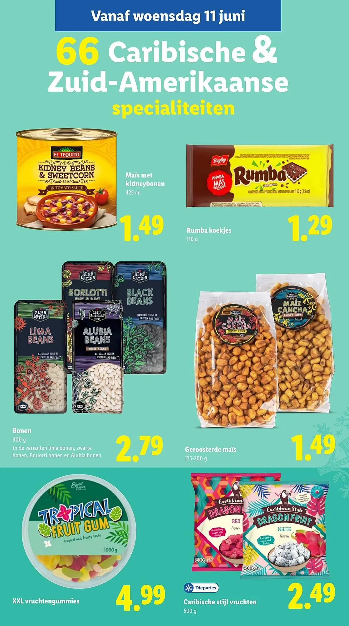 Lidl folder van 10 juni tot 15 juni 2025 - Folder pagina 21