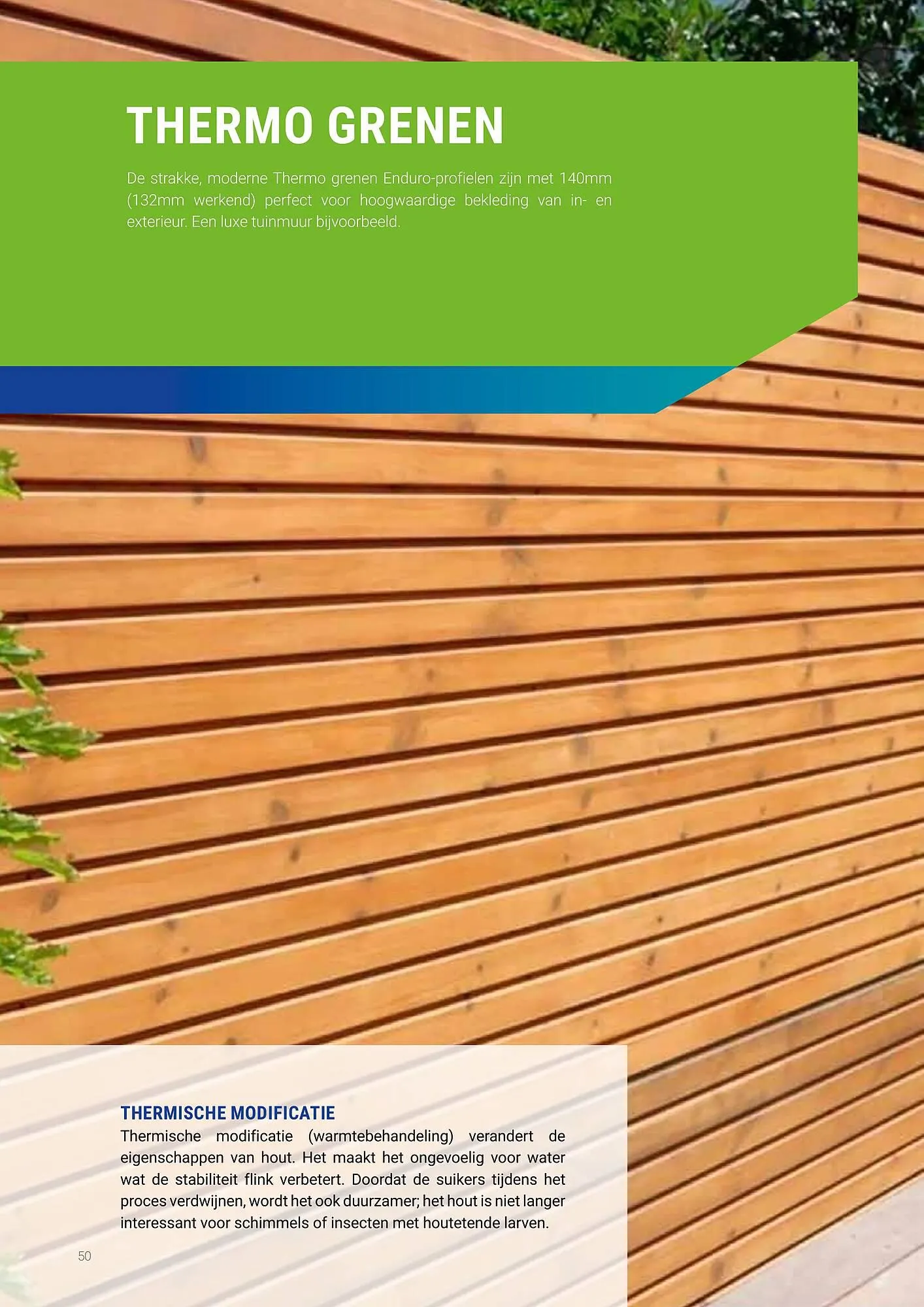 Pontmeyer ​​​​​​​Tuincatalogus 2023 van 1 maart tot 31 oktober 2023 - Folder pagina 52