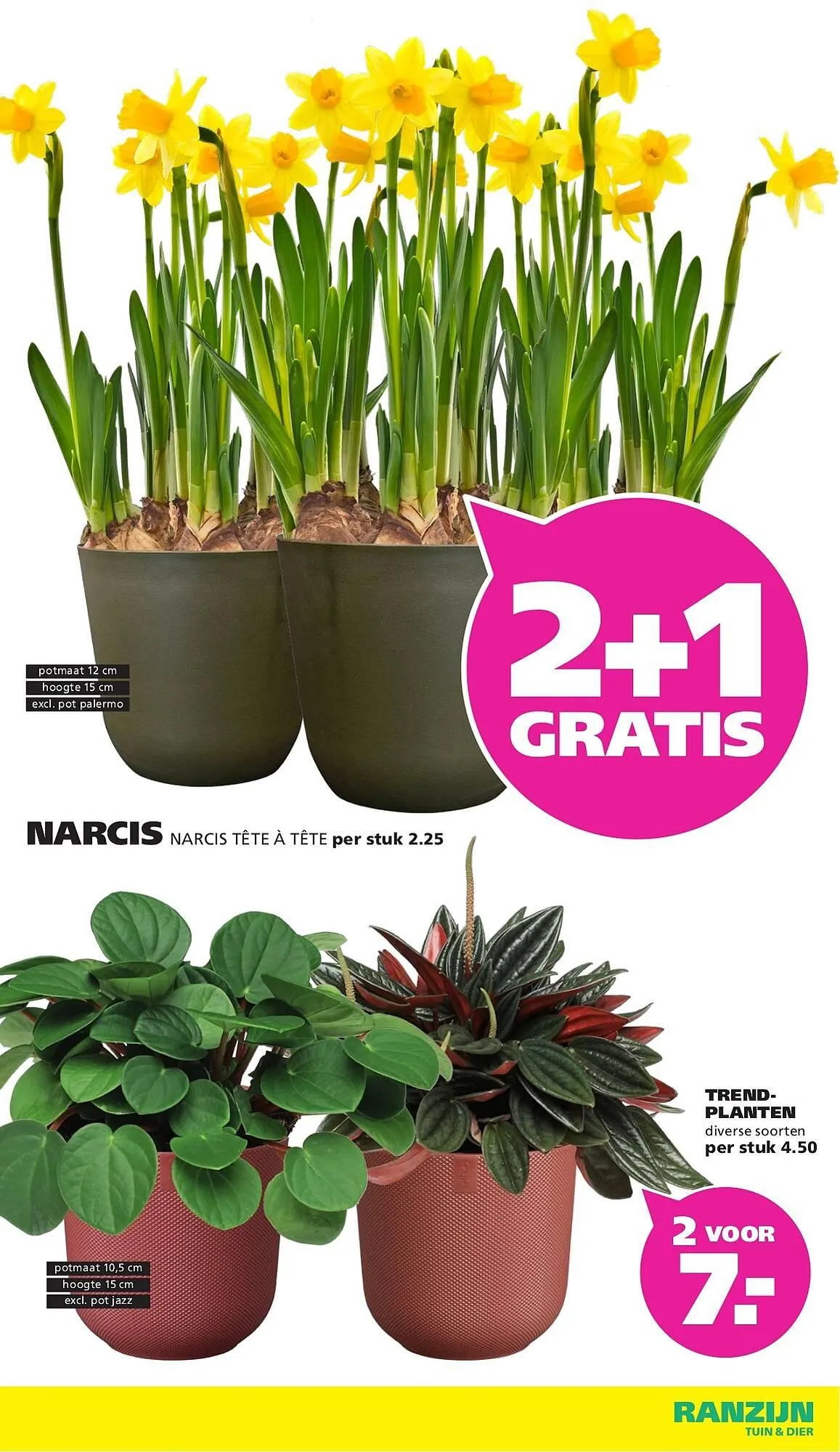 Ranzijn folder van 25 januari tot 7 februari 2026 - Folder pagina 9