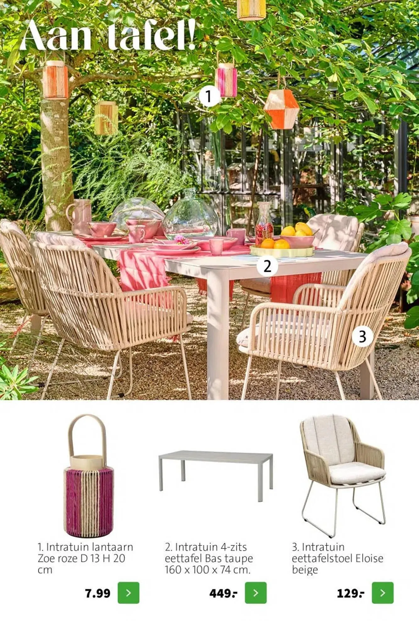 Intratuin folder van 20 april tot 26 april 2026 - Folder pagina 12