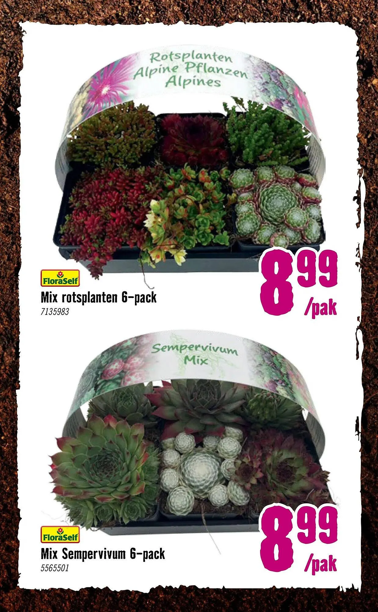 Hornbach folder van 14 april tot 4 mei 2025 - Folder pagina 17