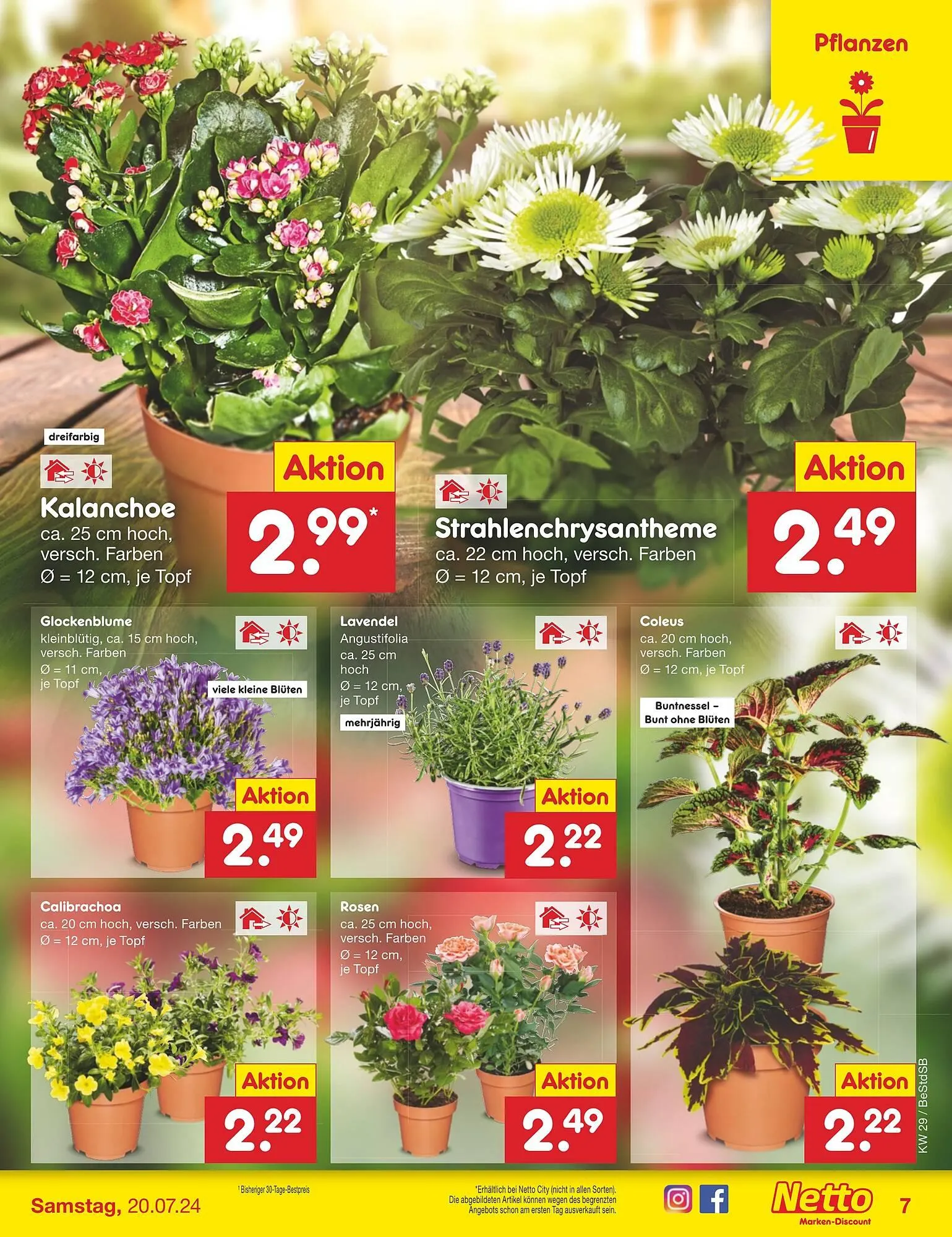 Netto Marken-Discount DE folder van 15 juli tot 20 juli 2024 - Folder pagina 7