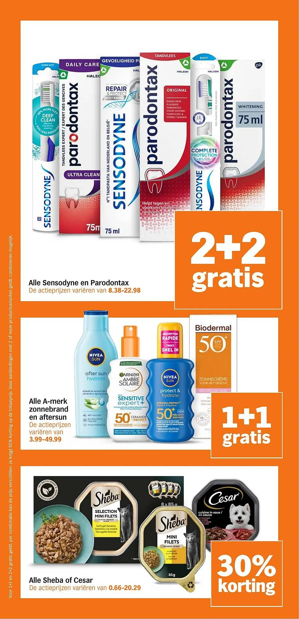 AH XL folder van 13 april tot 19 april 2026 - Folder pagina 31