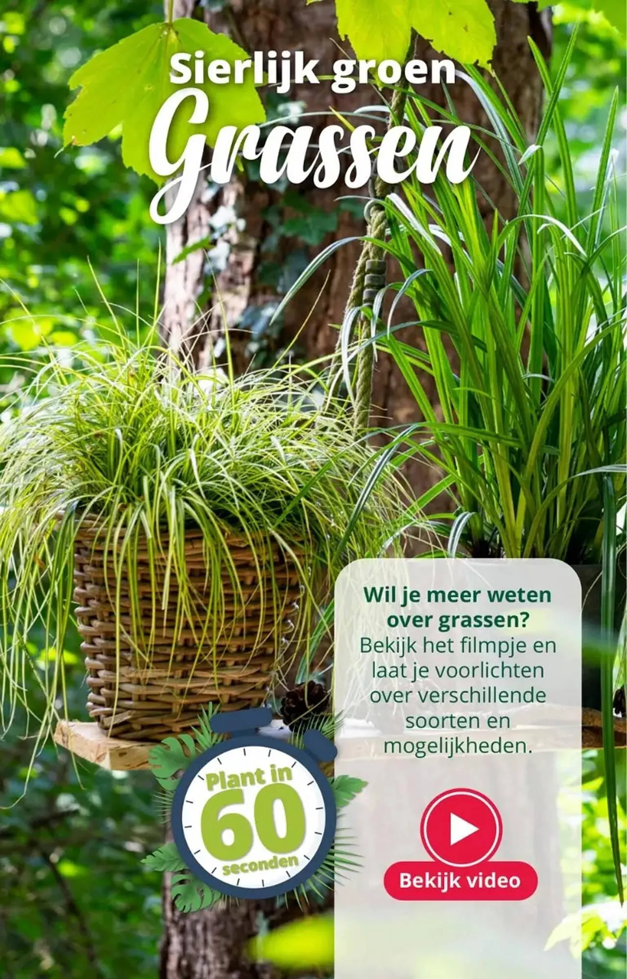 GroenRijk folder van 16 augustus tot 22 augustus 2023 - Folder pagina 3