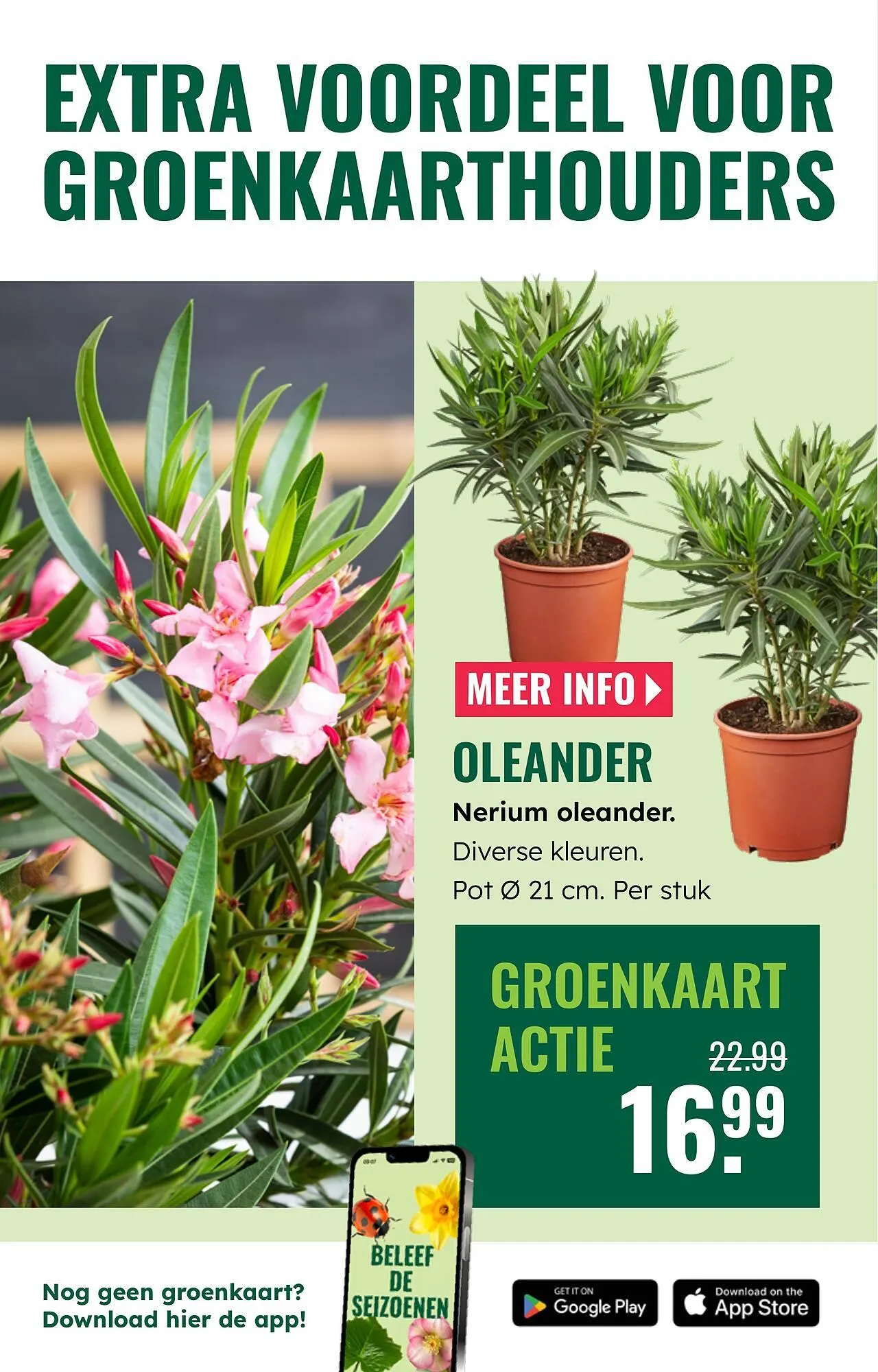 GroenRijk folder van 2 april tot 8 april 2026 - Folder pagina 26