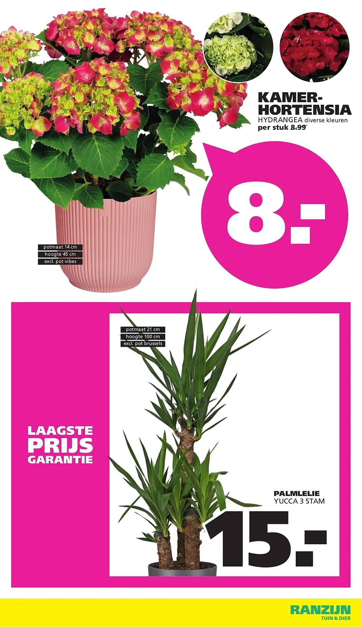 Ranzijn folder van 25 januari tot 7 februari 2026 - Folder pagina 10