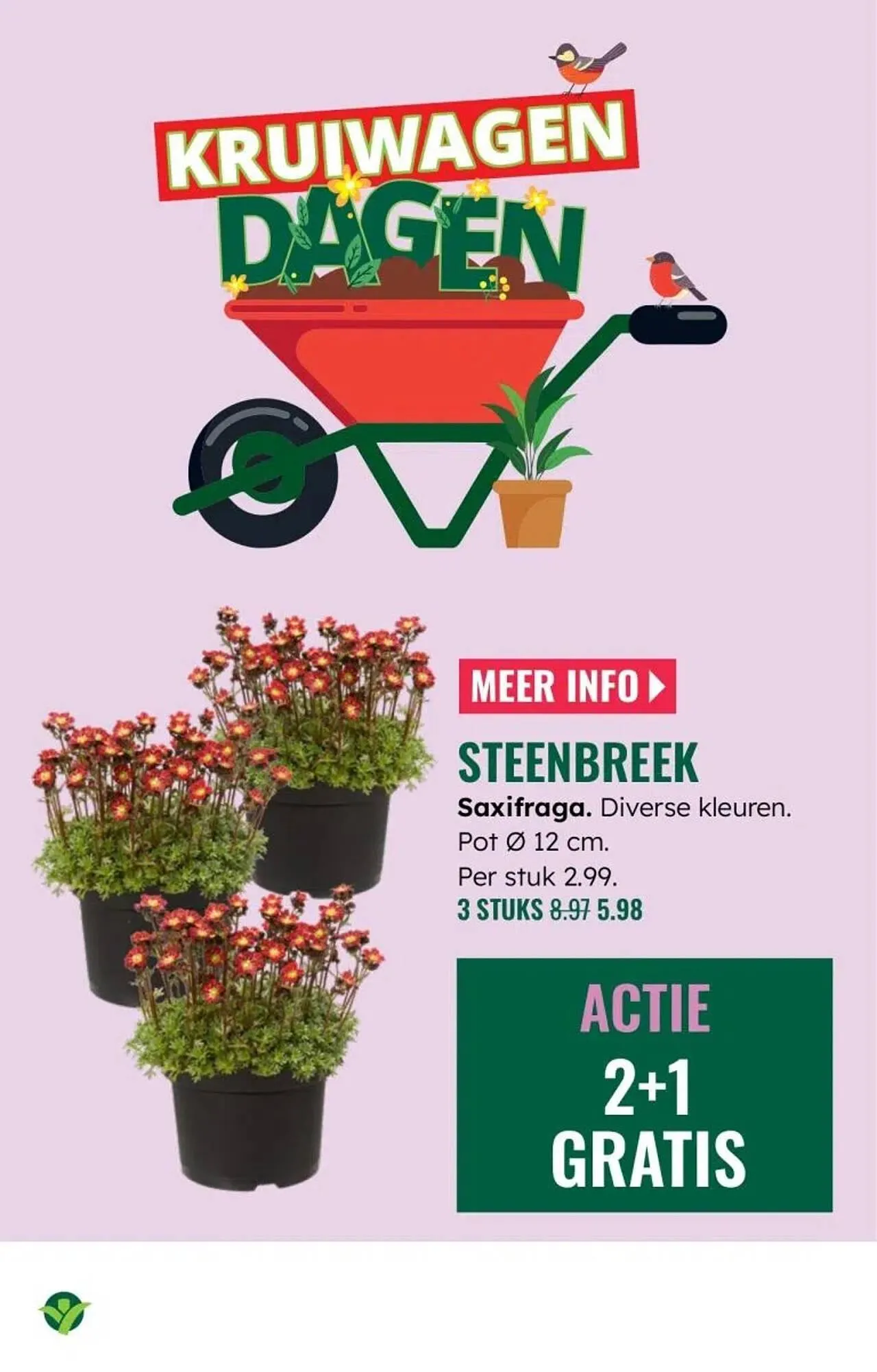 GroenRijk folder van 5 maart tot 11 maart 2026 - Folder pagina 15