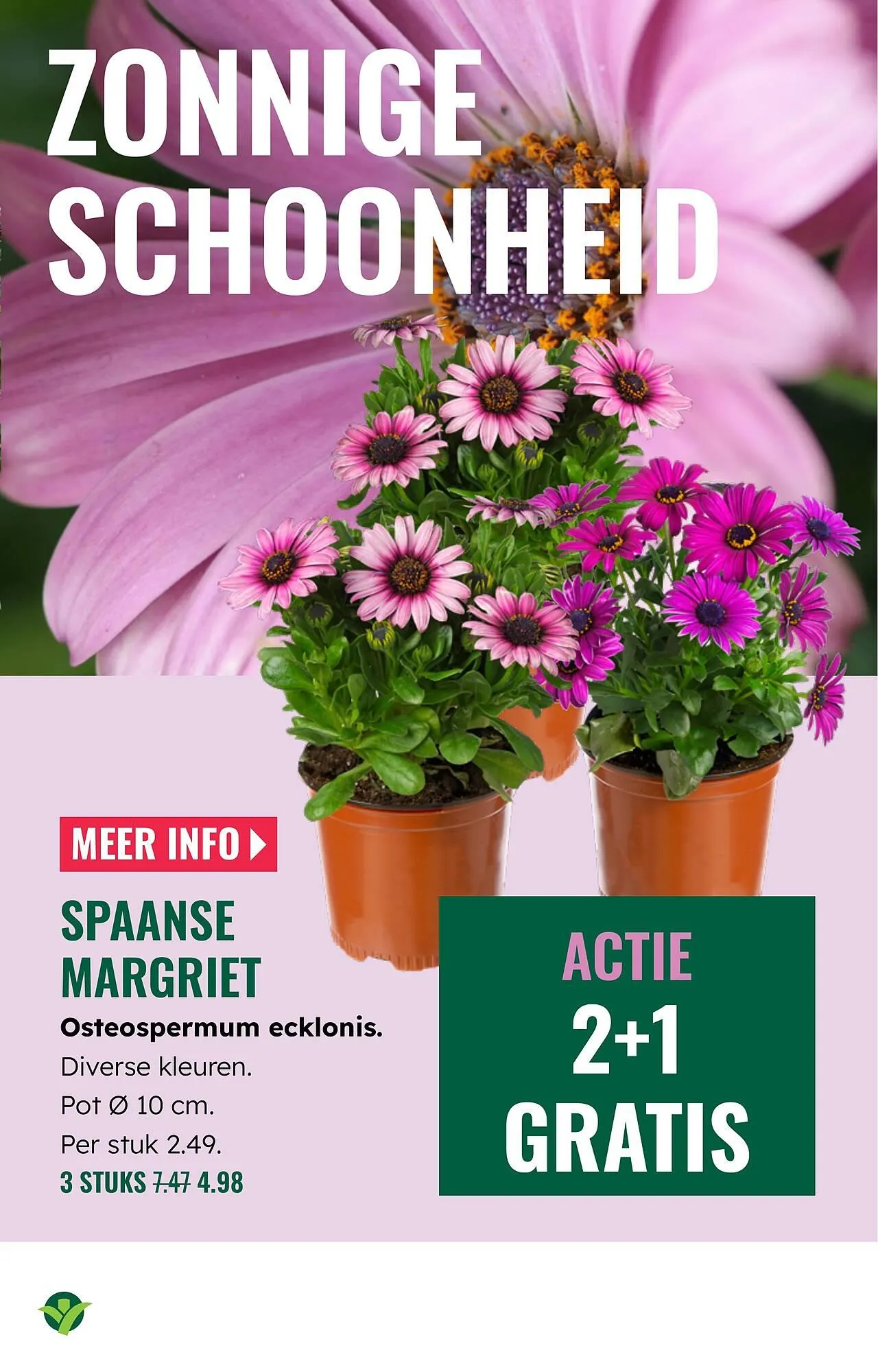 GroenRijk folder van 2 april tot 8 april 2026 - Folder pagina 23