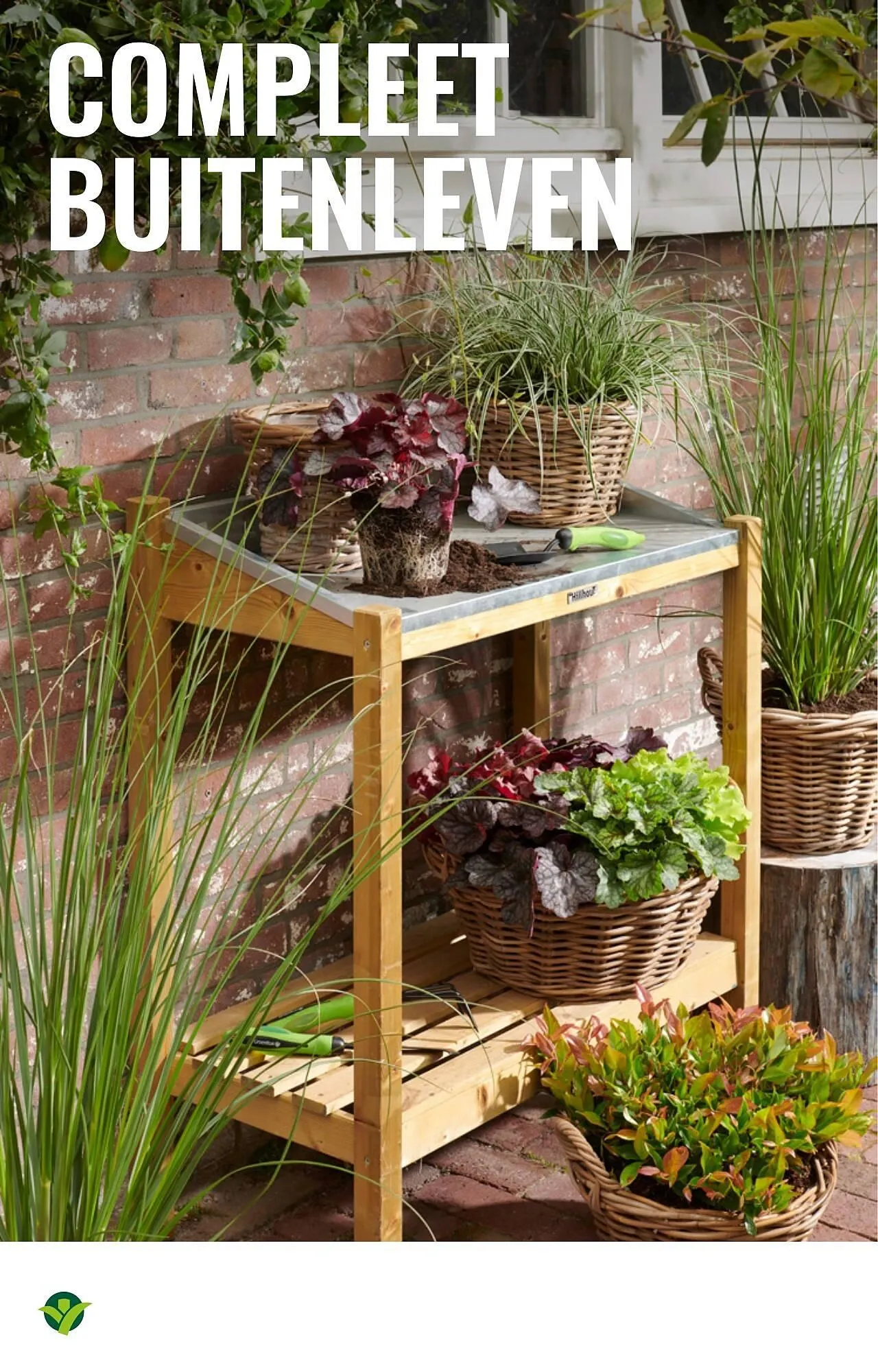 GroenRijk folder van 1 oktober tot 7 oktober 2025 - Folder pagina 20