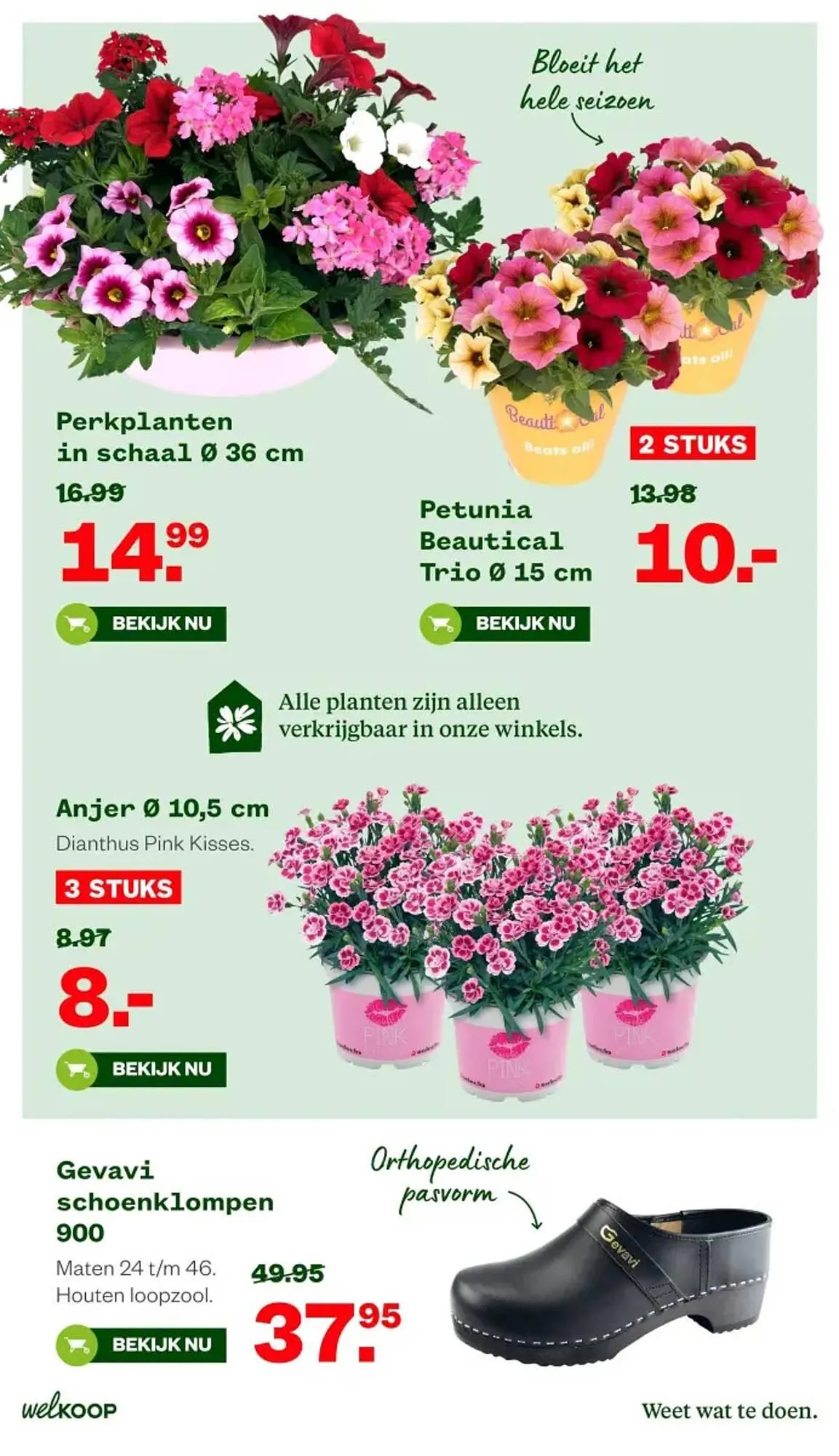Welkoop folder van 11 mei tot 24 mei 2026 - Folder pagina 14