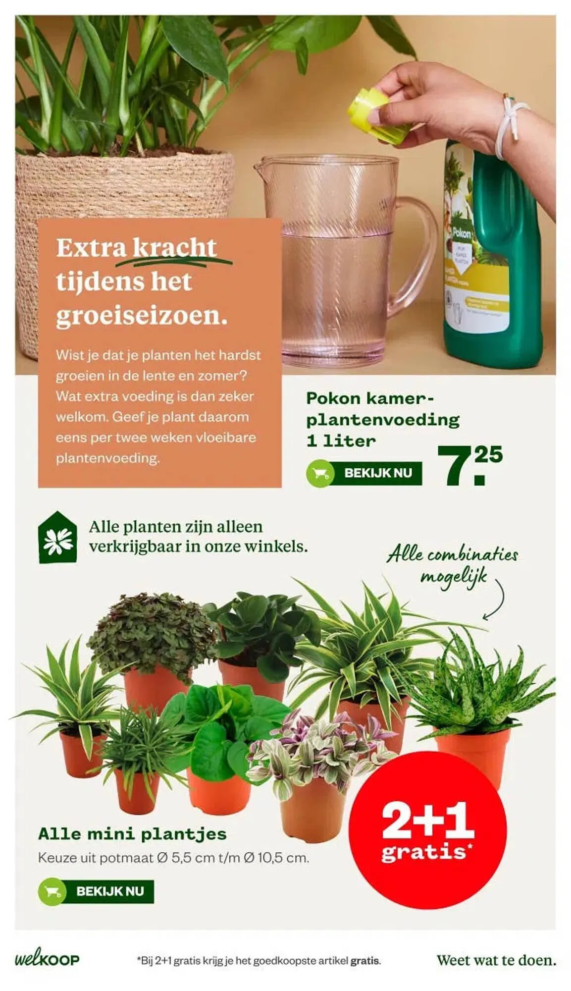 Welkoop folder van 13 april tot 19 april 2026 - Folder pagina 9