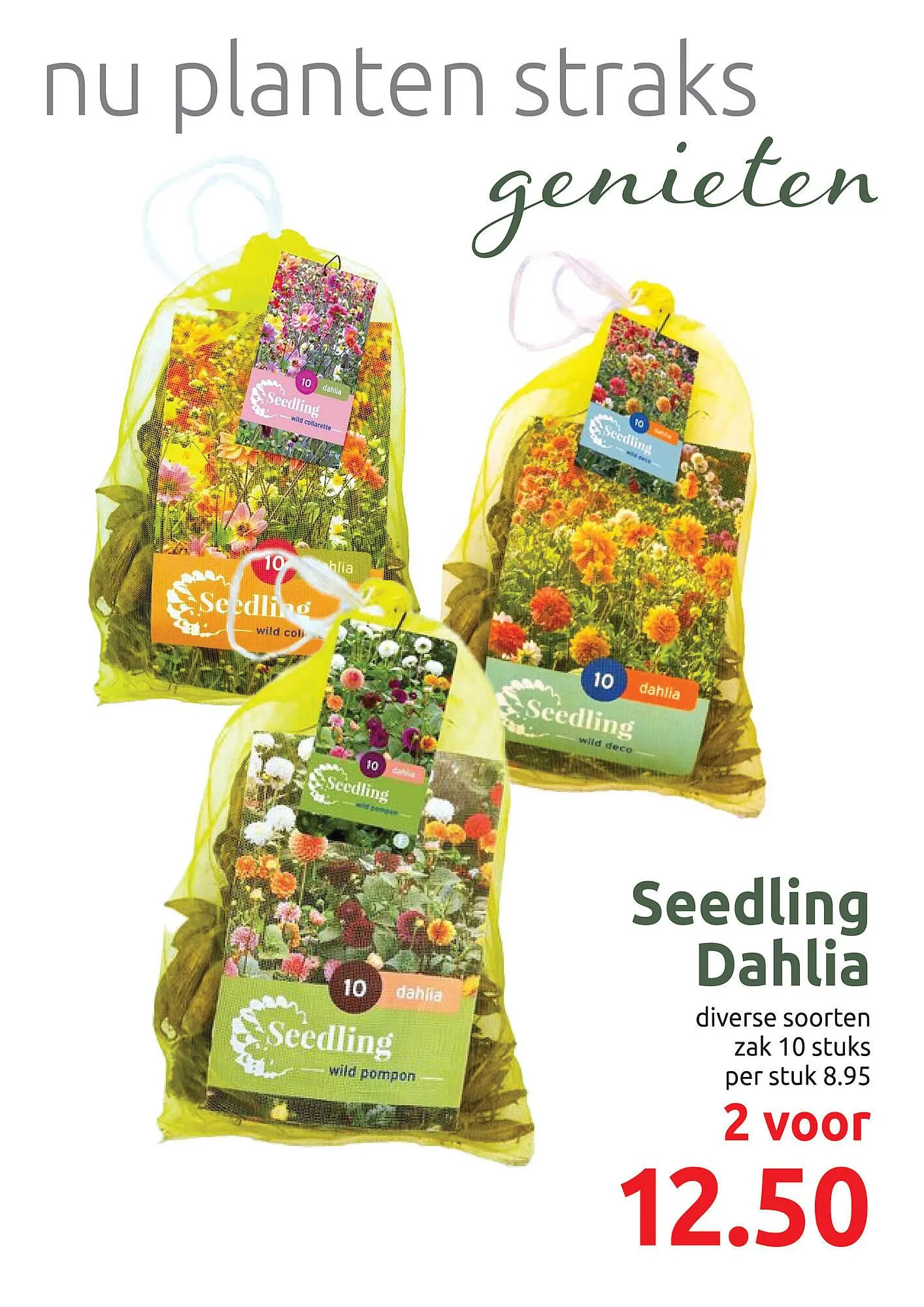 Deka Tuin folder van 3 maart tot 15 maart 2025 - Folder pagina 7