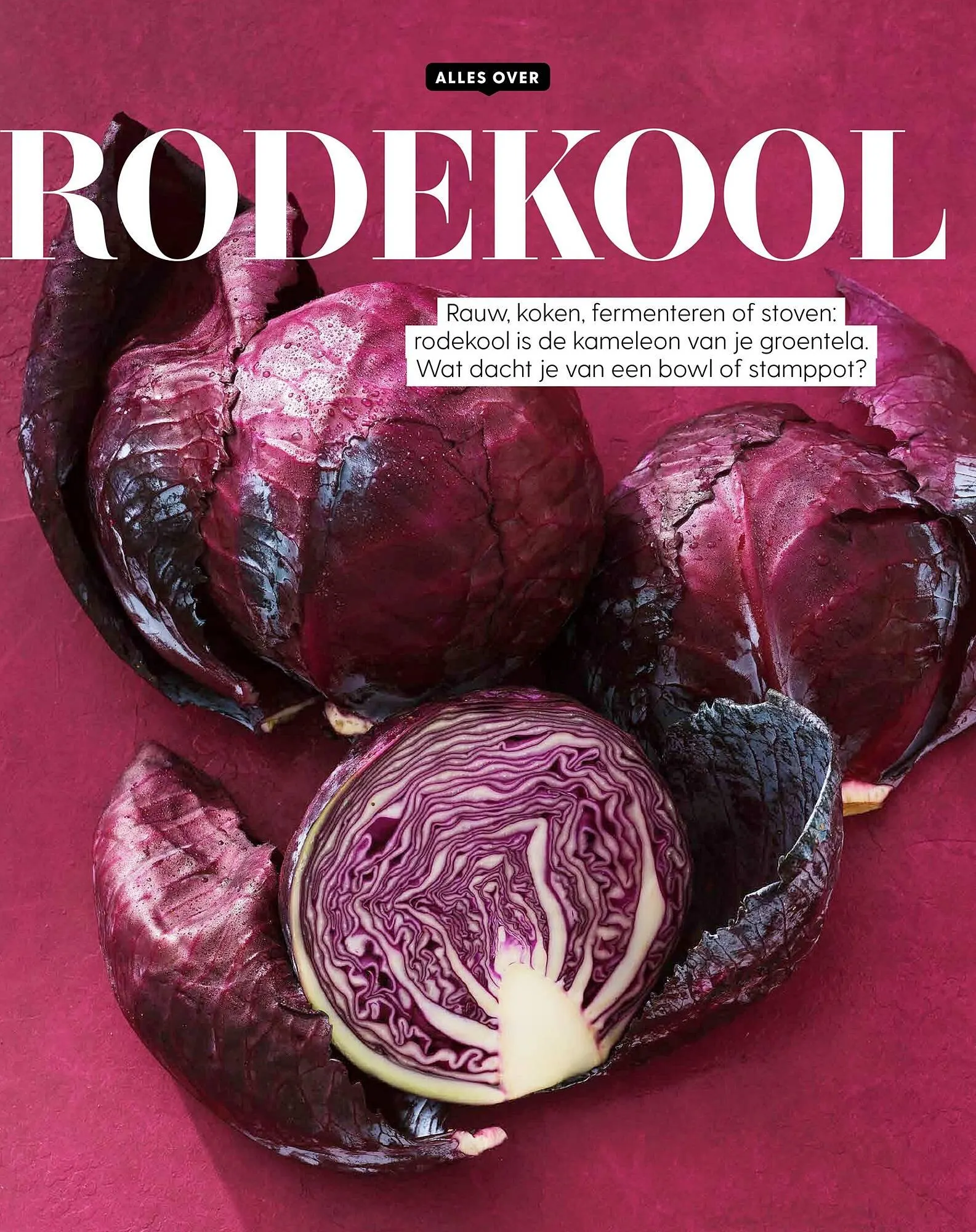 Allerhande folder van 7 januari tot 23 maart 2026 - Folder pagina 49