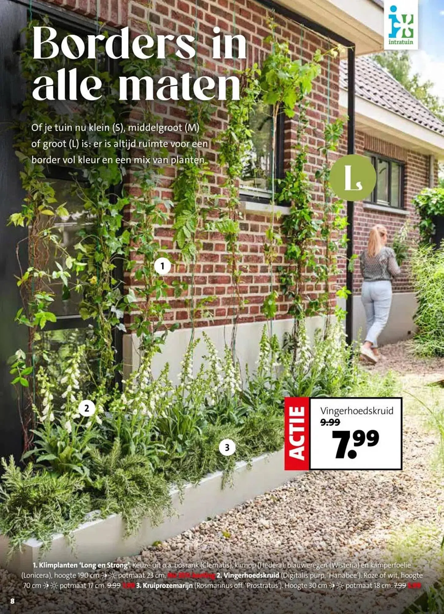 Intratuin folder van 30 maart tot 5 april 2026 - Folder pagina 8