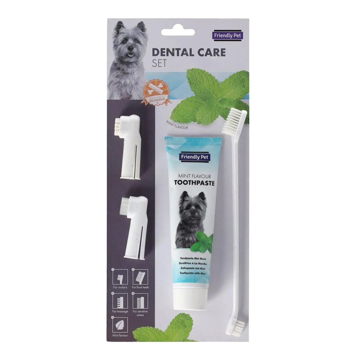 Gebitsverzorging set FP