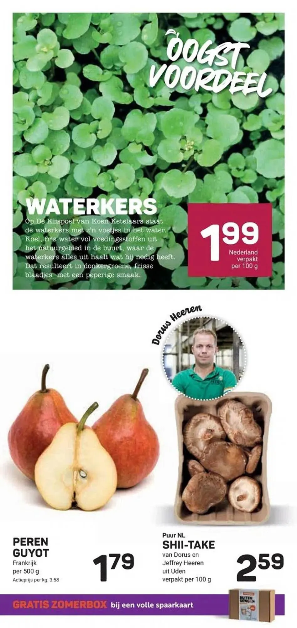 Ekoplaza folder van 28 augustus tot 15 september 2025 - Folder pagina 13