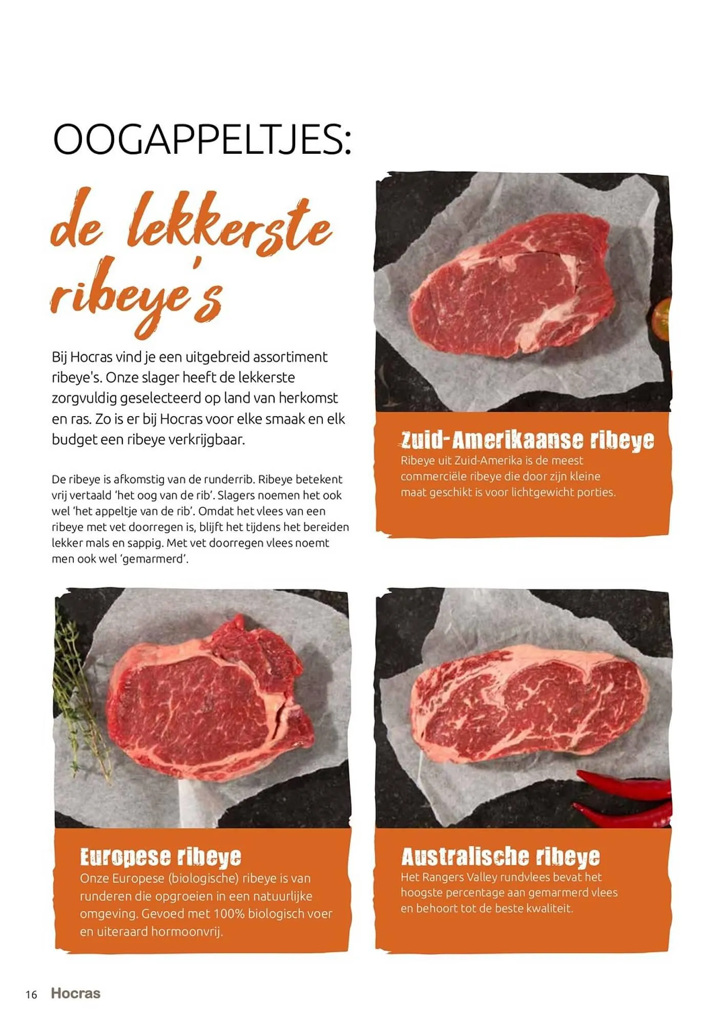 Hocras Vlees folder van 15 februari tot 31 december 2023 - Folder pagina 16