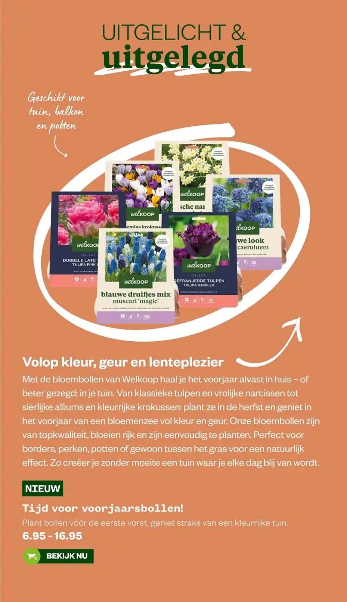 Welkoop folder van 8 september tot 21 september 2025 - Folder pagina 4