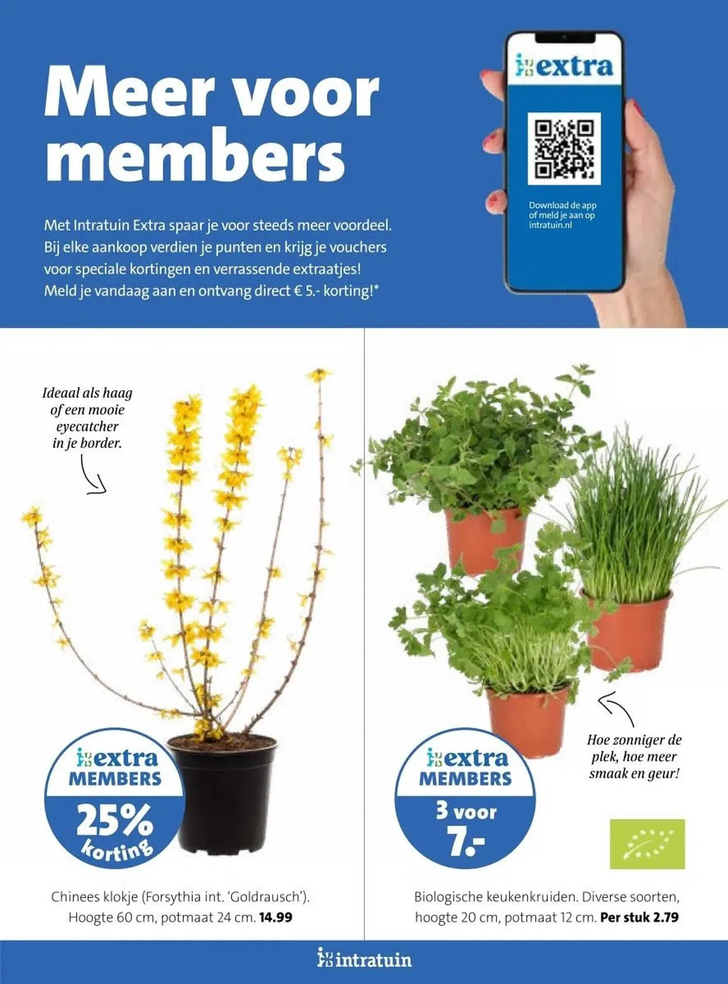 Intratuin folder van 16 februari tot 22 februari 2026 - Folder pagina 28
