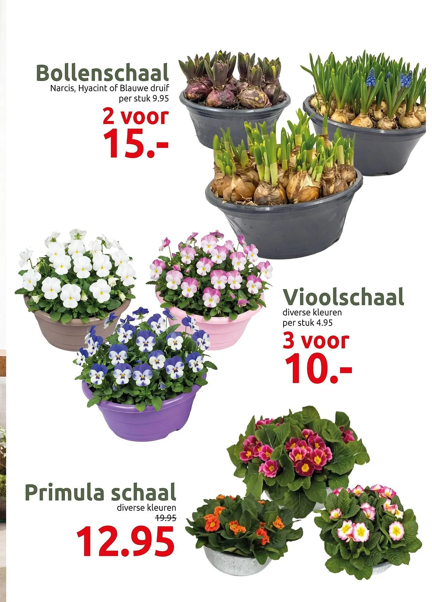 Deka Tuin folder van 16 februari tot 1 maart 2026 - Folder pagina 3