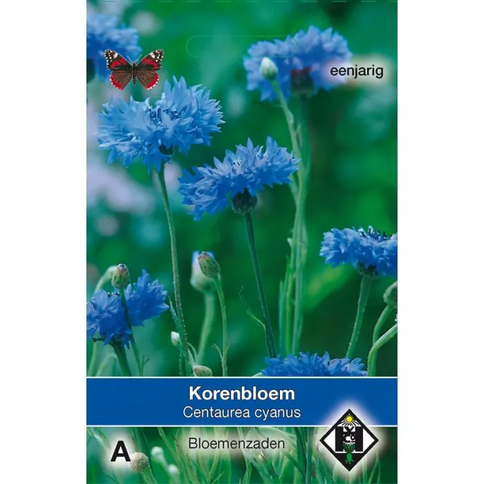Korenbloem - Enkel Blauw