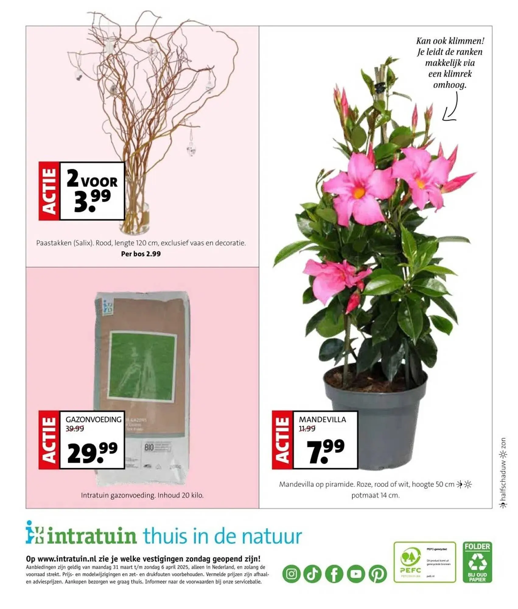 Intratuin folder van 31 maart tot 6 april 2025 - Folder pagina 12
