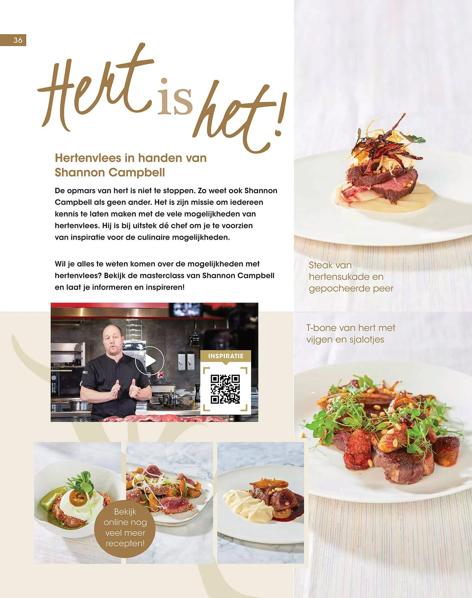 HANOS magazine van 12 november tot 25 december 2025 - Folder pagina 36