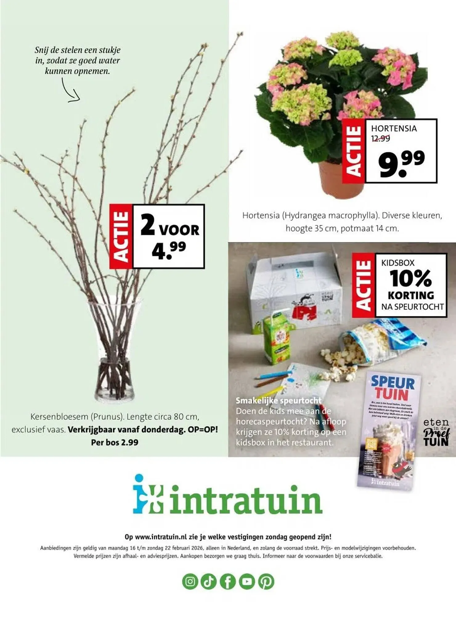 Intratuin folder van 16 februari tot 22 februari 2026 - Folder pagina 30