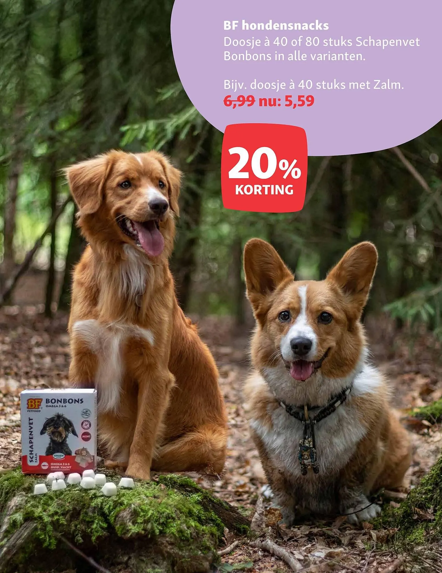 Maxi Zoo folder van 3 november tot 9 november 2025 - Folder pagina 8