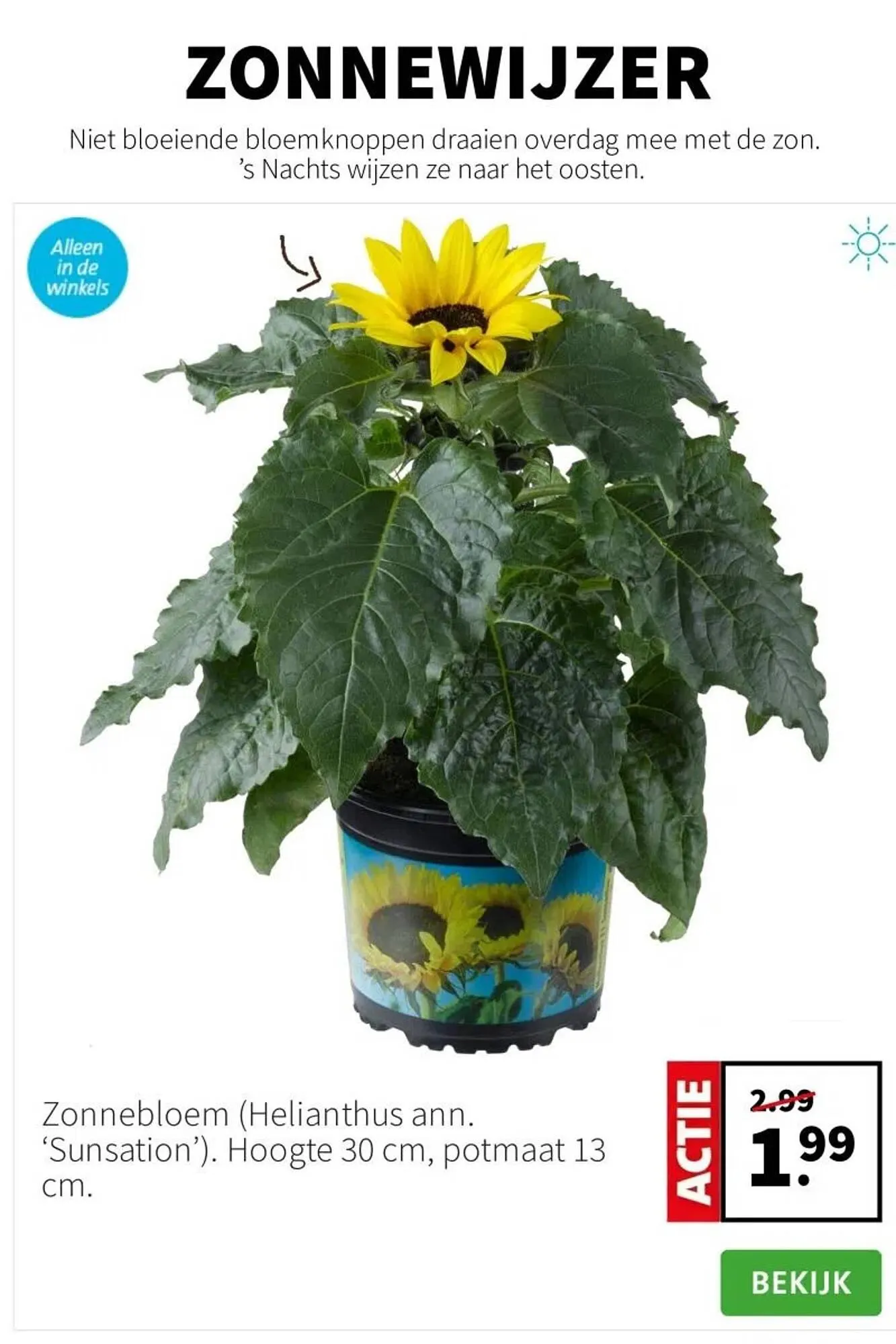 Intratuin folder van 7 juli tot 13 juli 2025 - Folder pagina 5