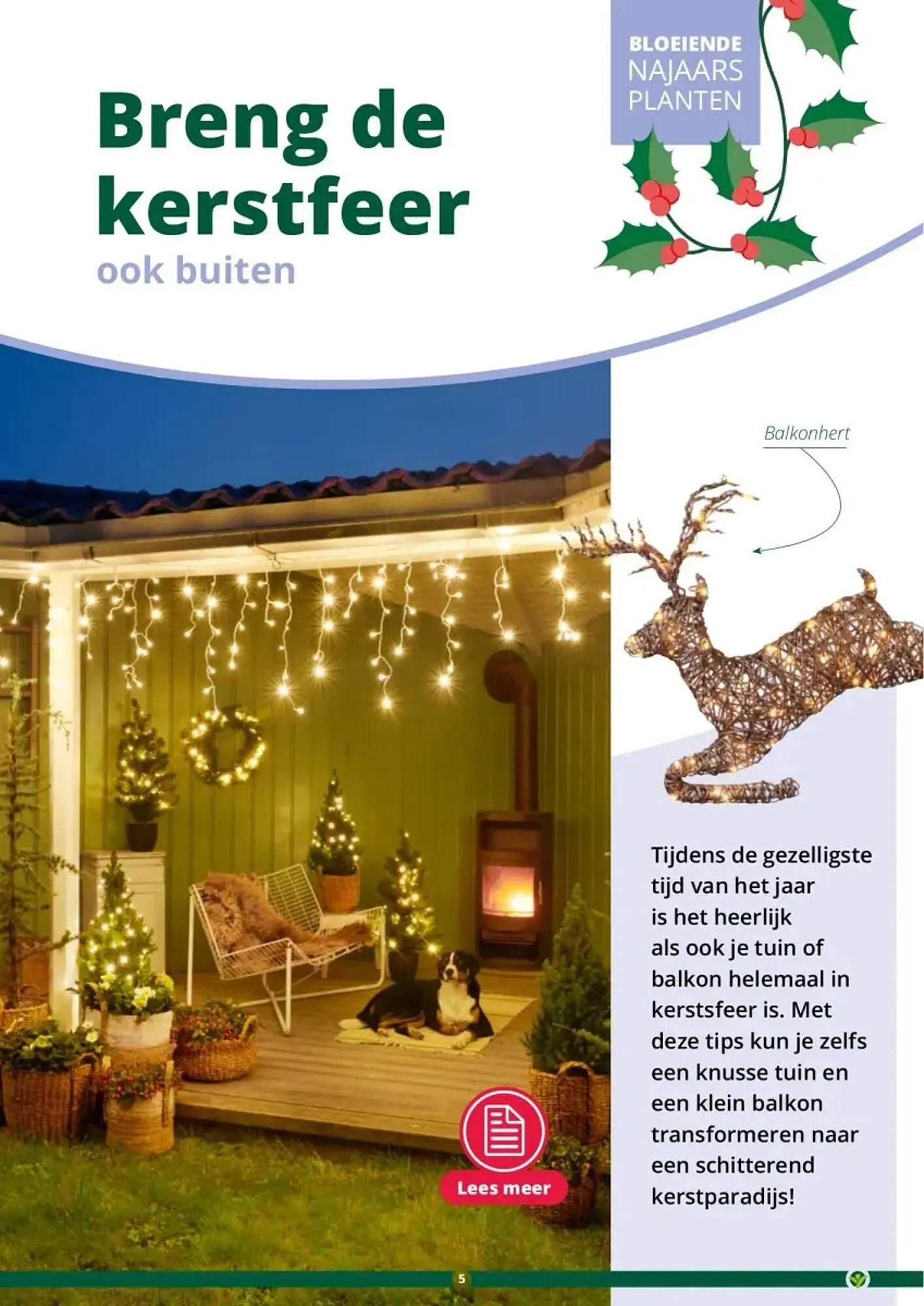 GroenRijk folder van 1 november tot 26 december 2023 - Folder pagina 5